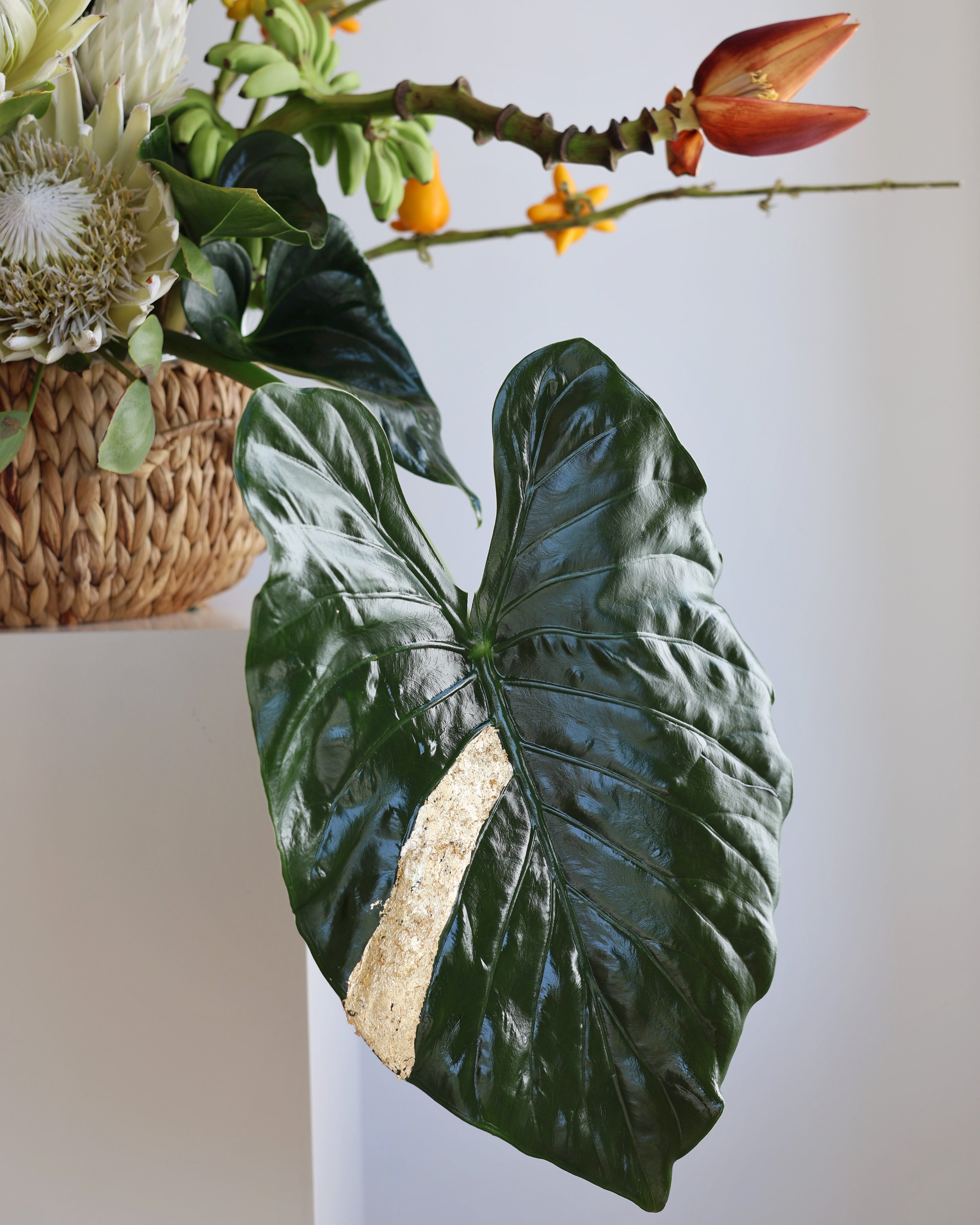 BEYONCÉ TROPICALS - VASE ARRANGEMENT