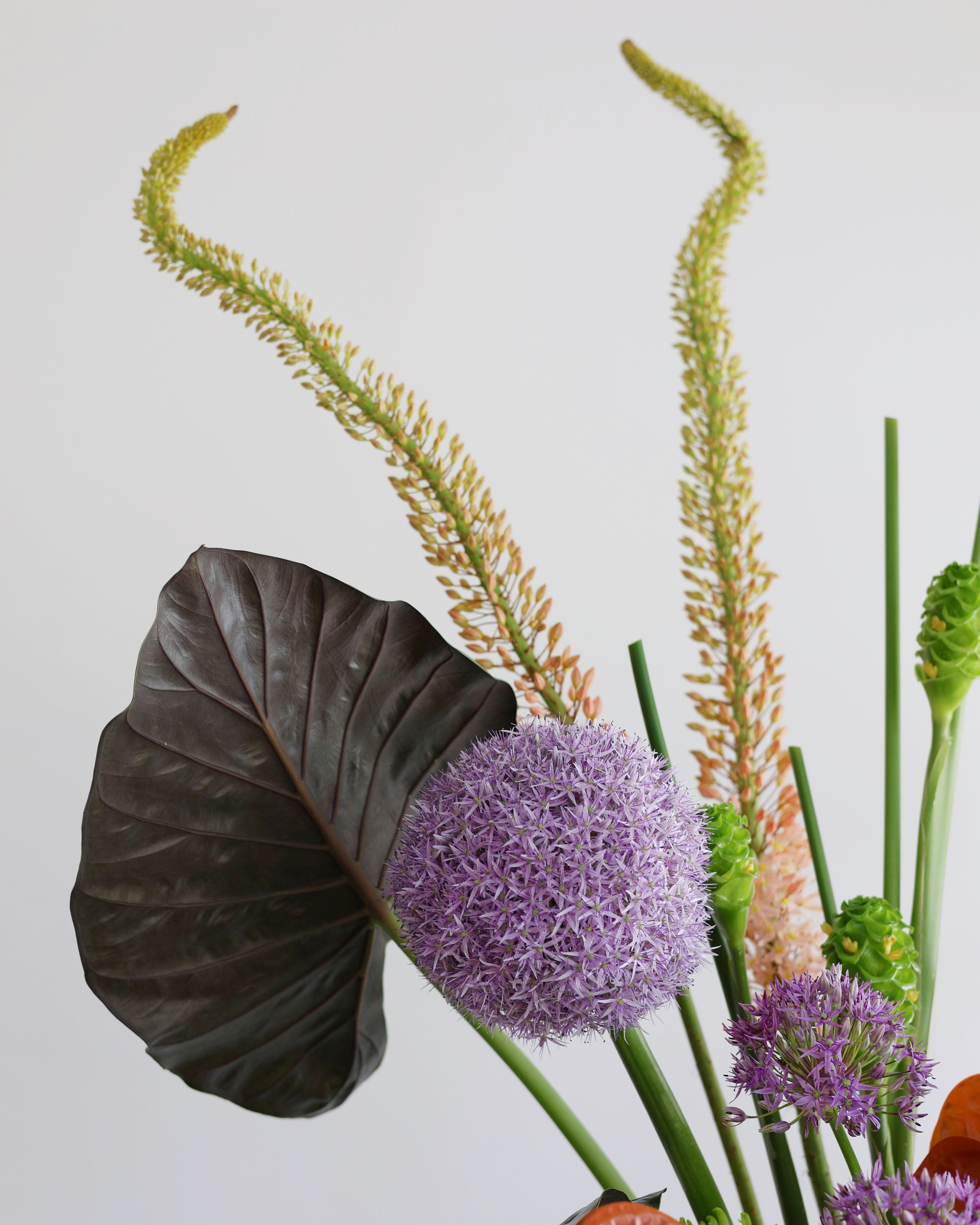 BEYONCÉ TROPICALS - VASE ARRANGEMENT