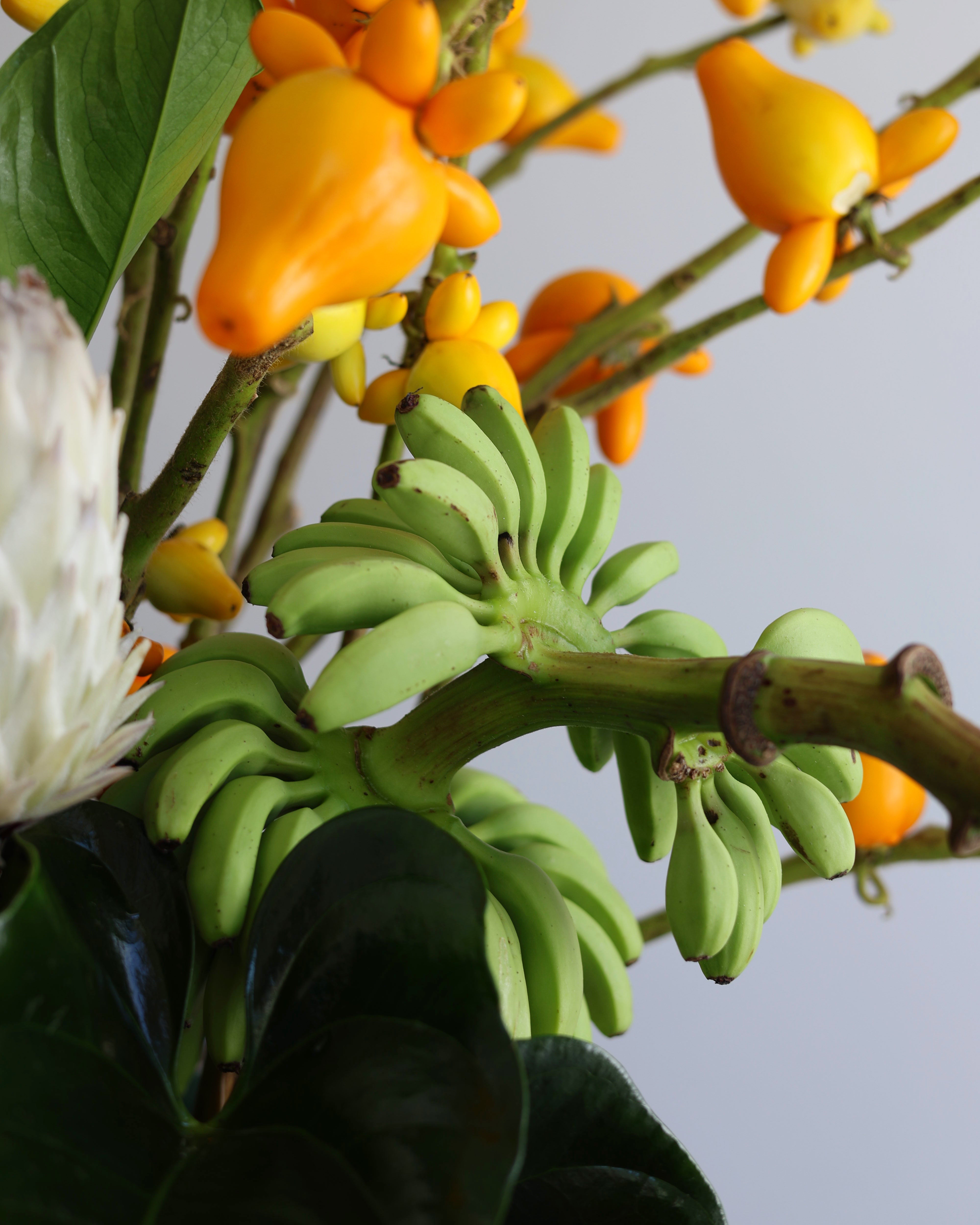 BEYONCÉ TROPICALS - VASE ARRANGEMENT