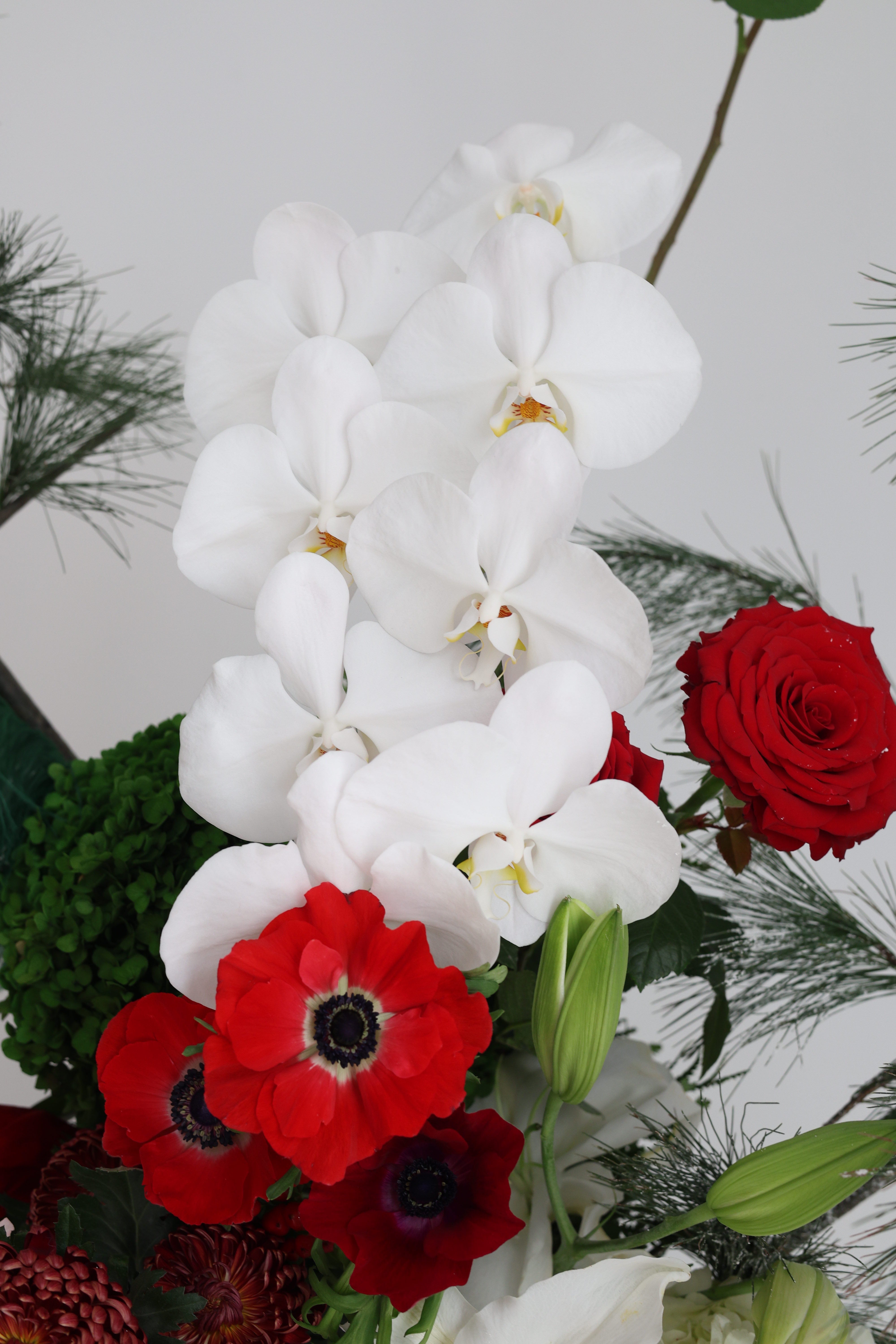 JINGLE ALL THE PETALS - ranger bag