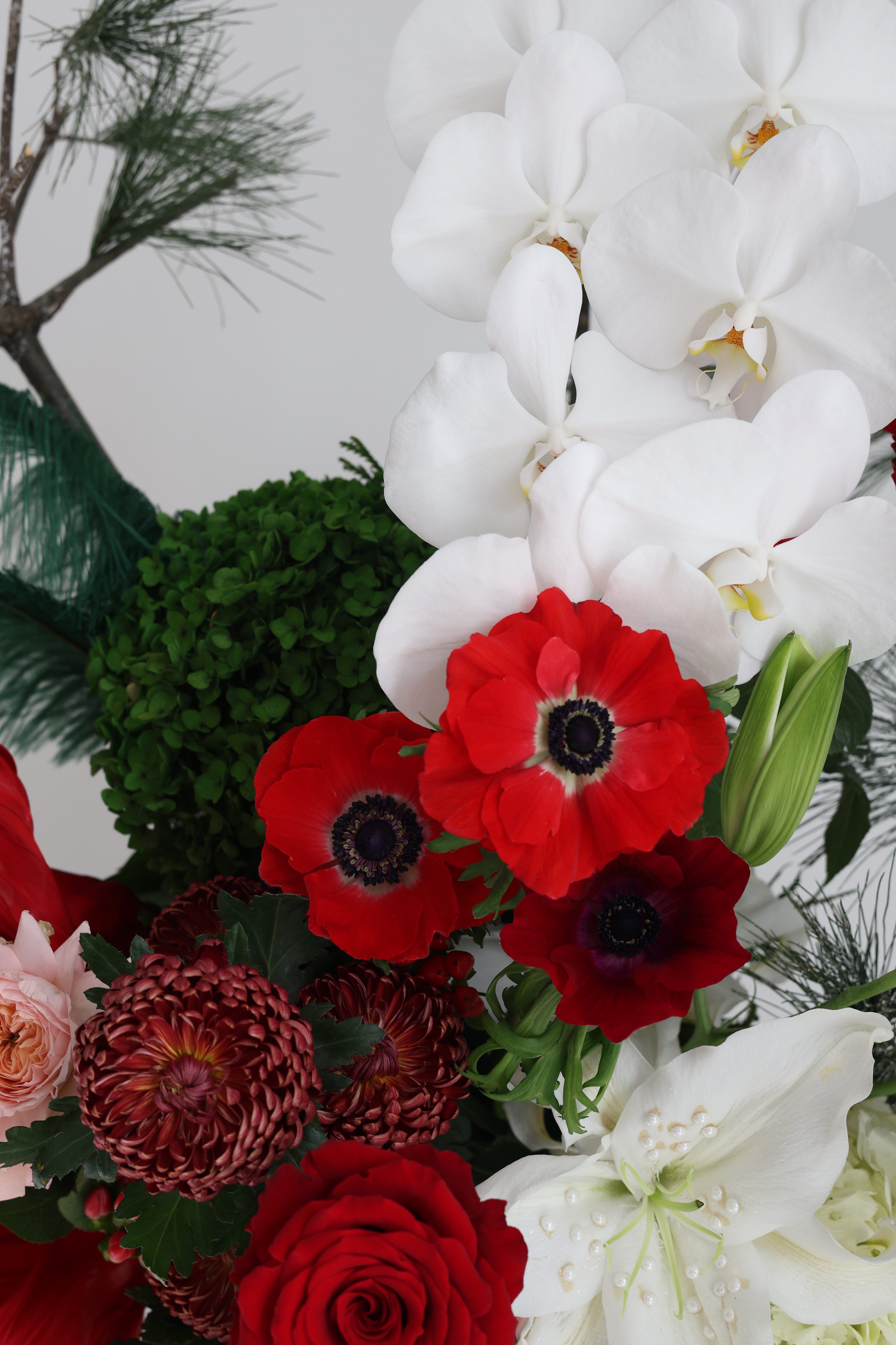 JINGLE ALL THE PETALS - ranger bag