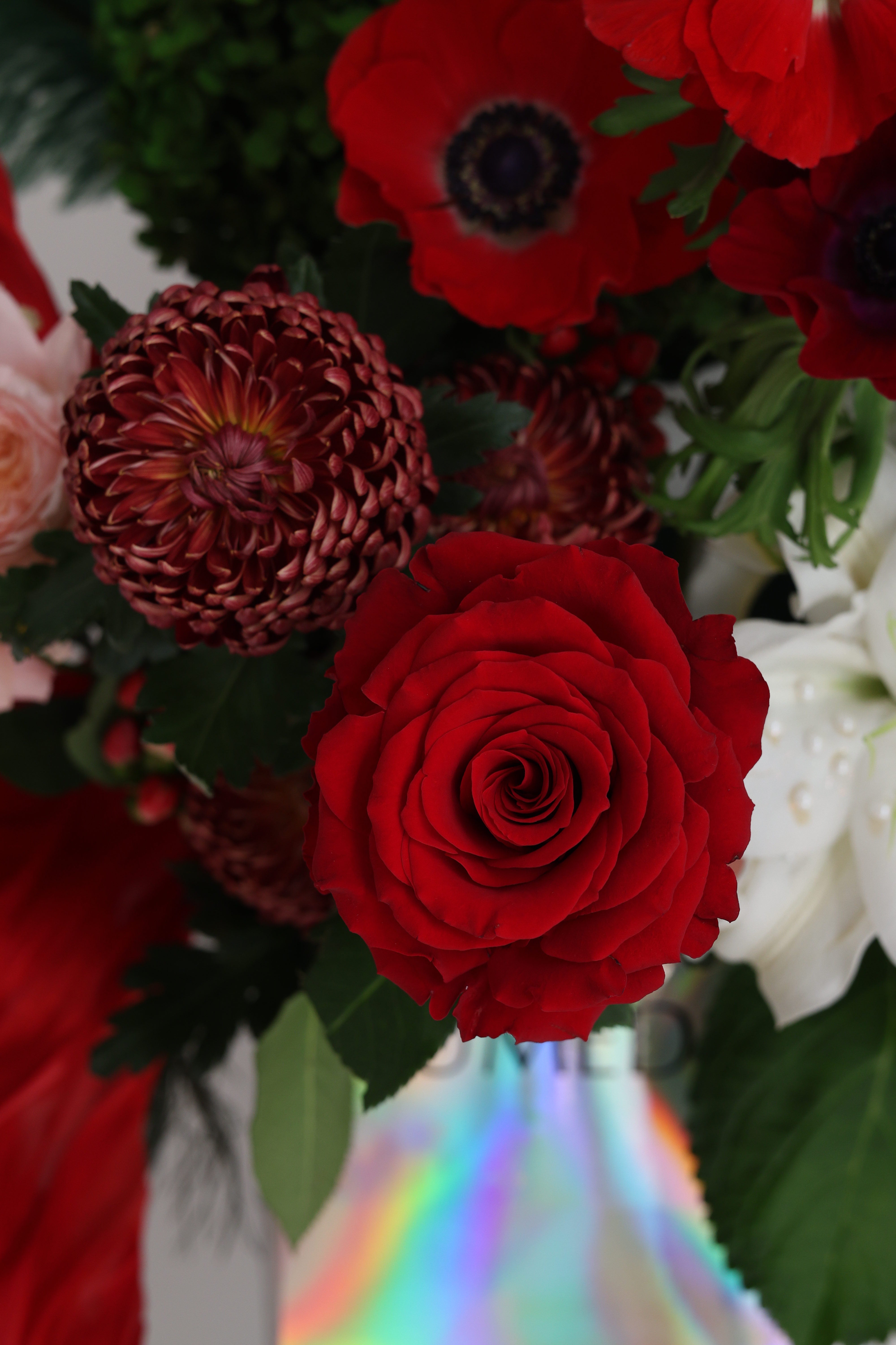 JINGLE ALL THE PETALS - ranger bag