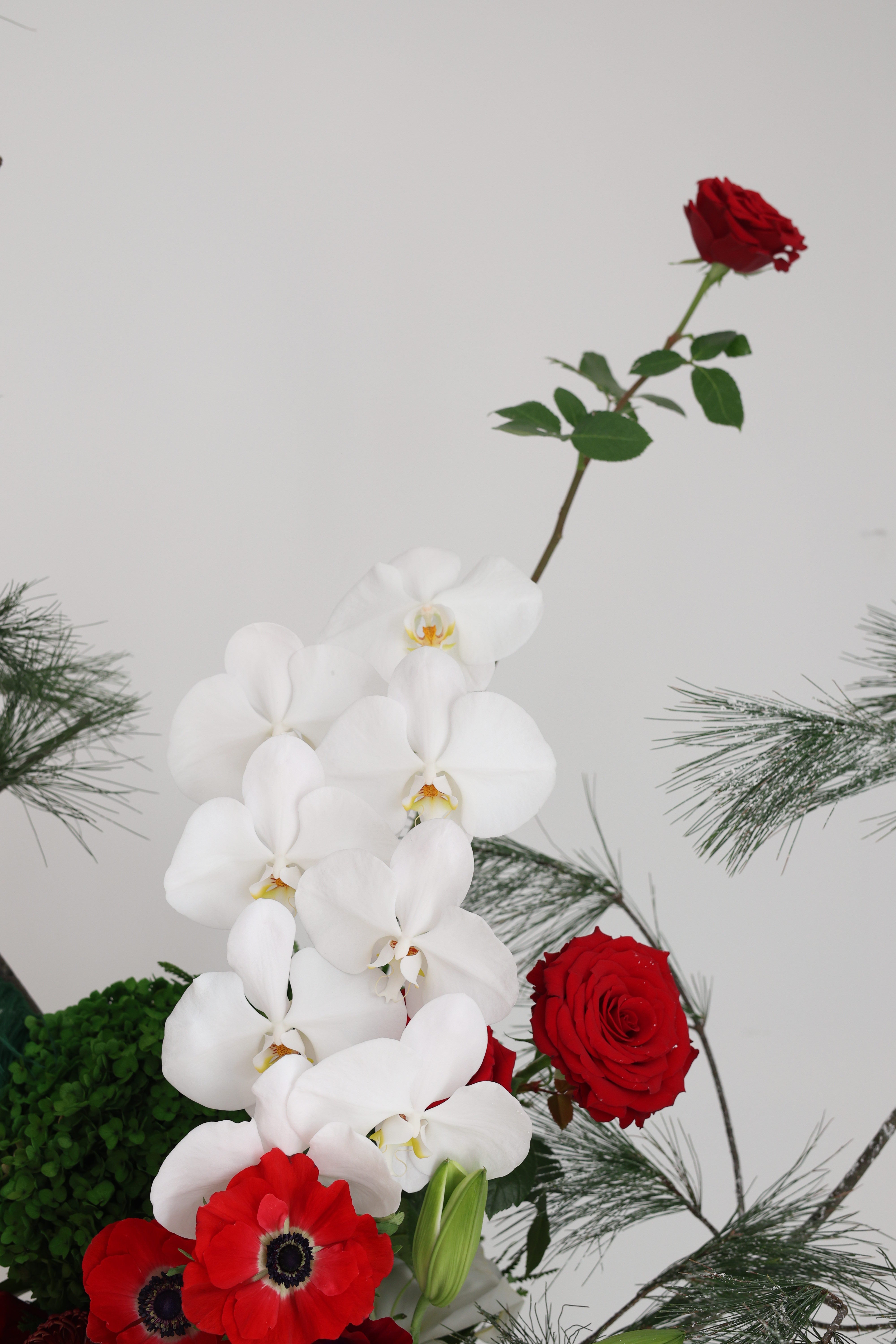 JINGLE ALL THE PETALS - ranger bag