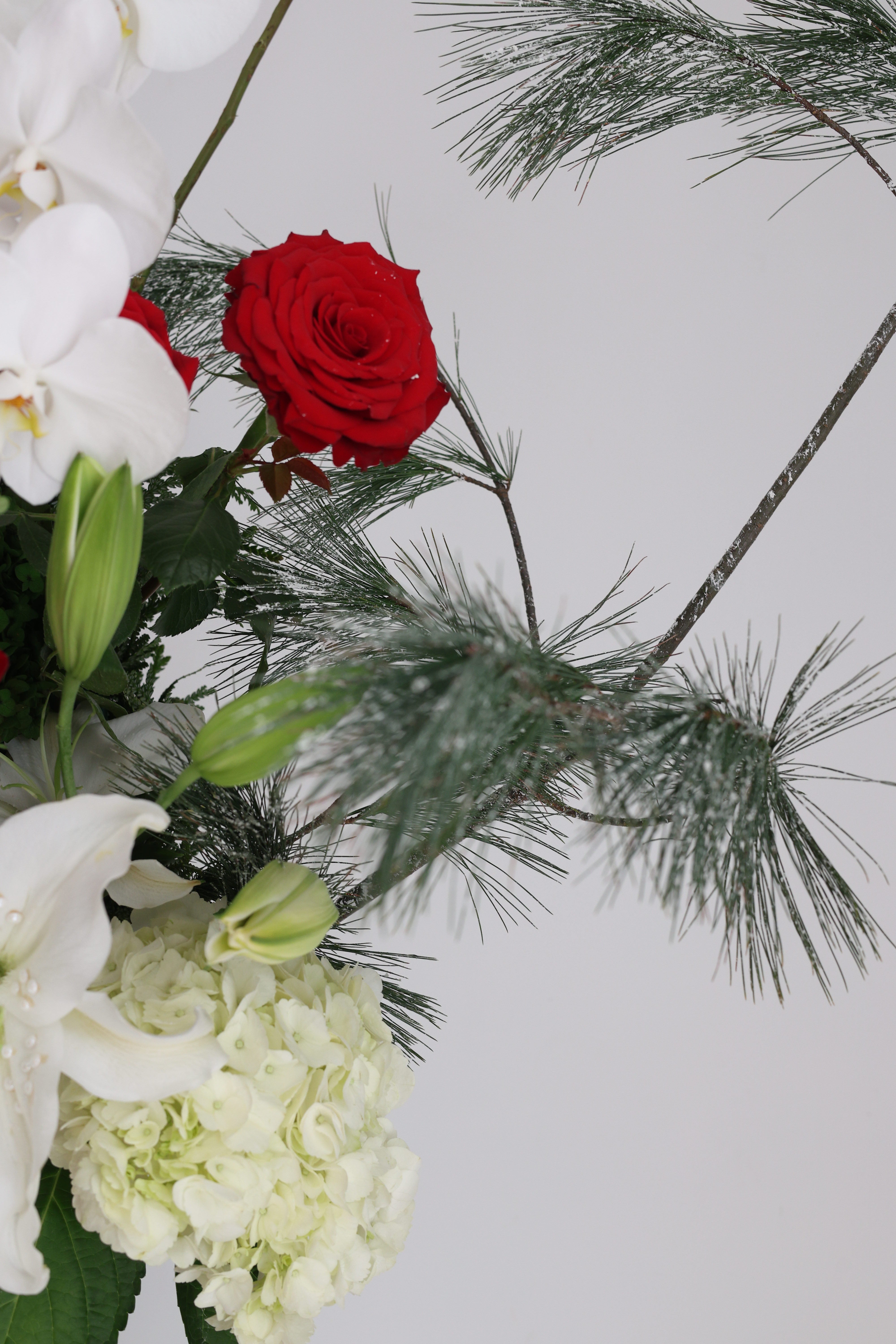 JINGLE ALL THE PETALS - ranger bag