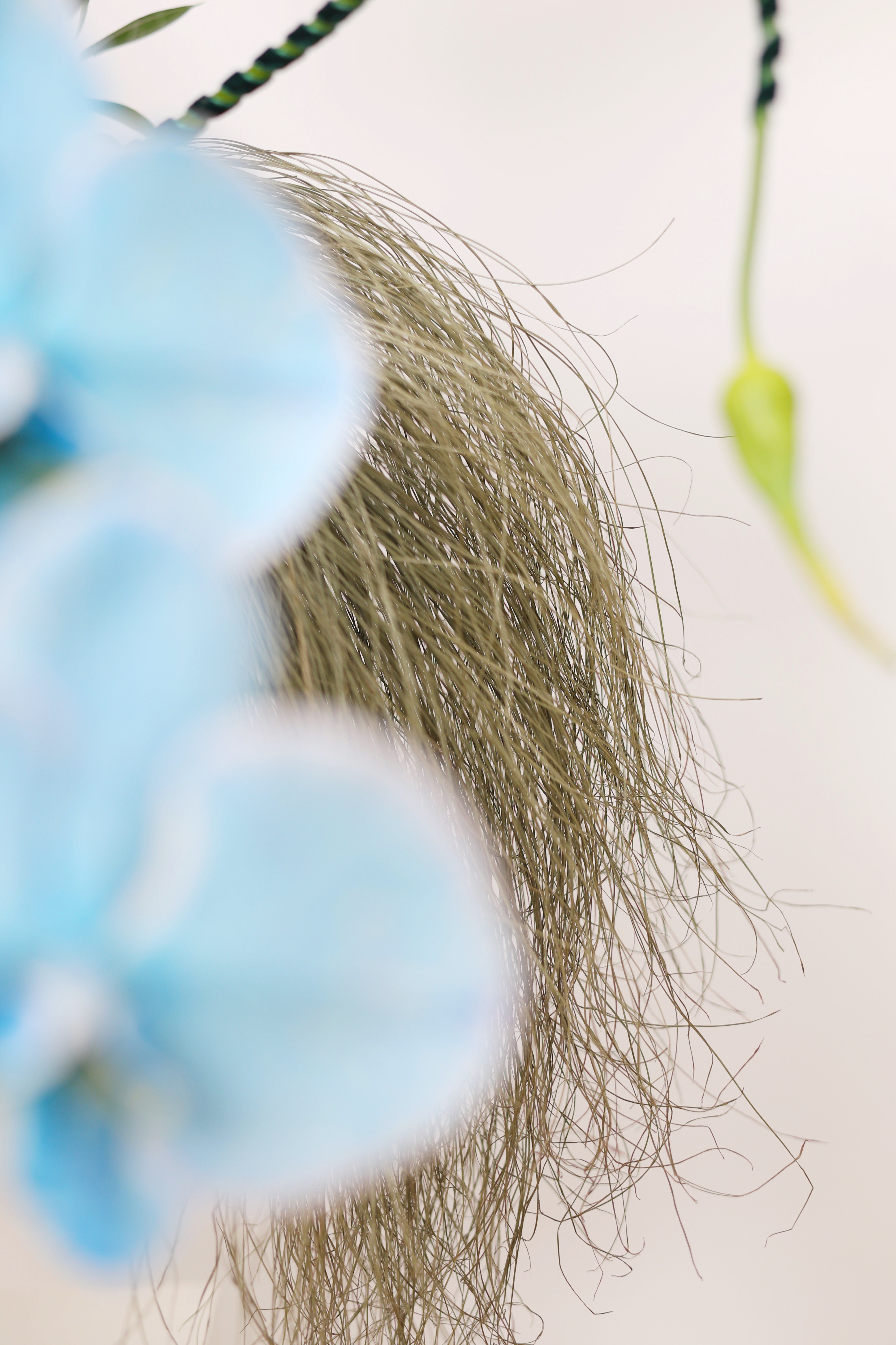 BIRDS OF PARADISE - VASE ARRANGEMENT