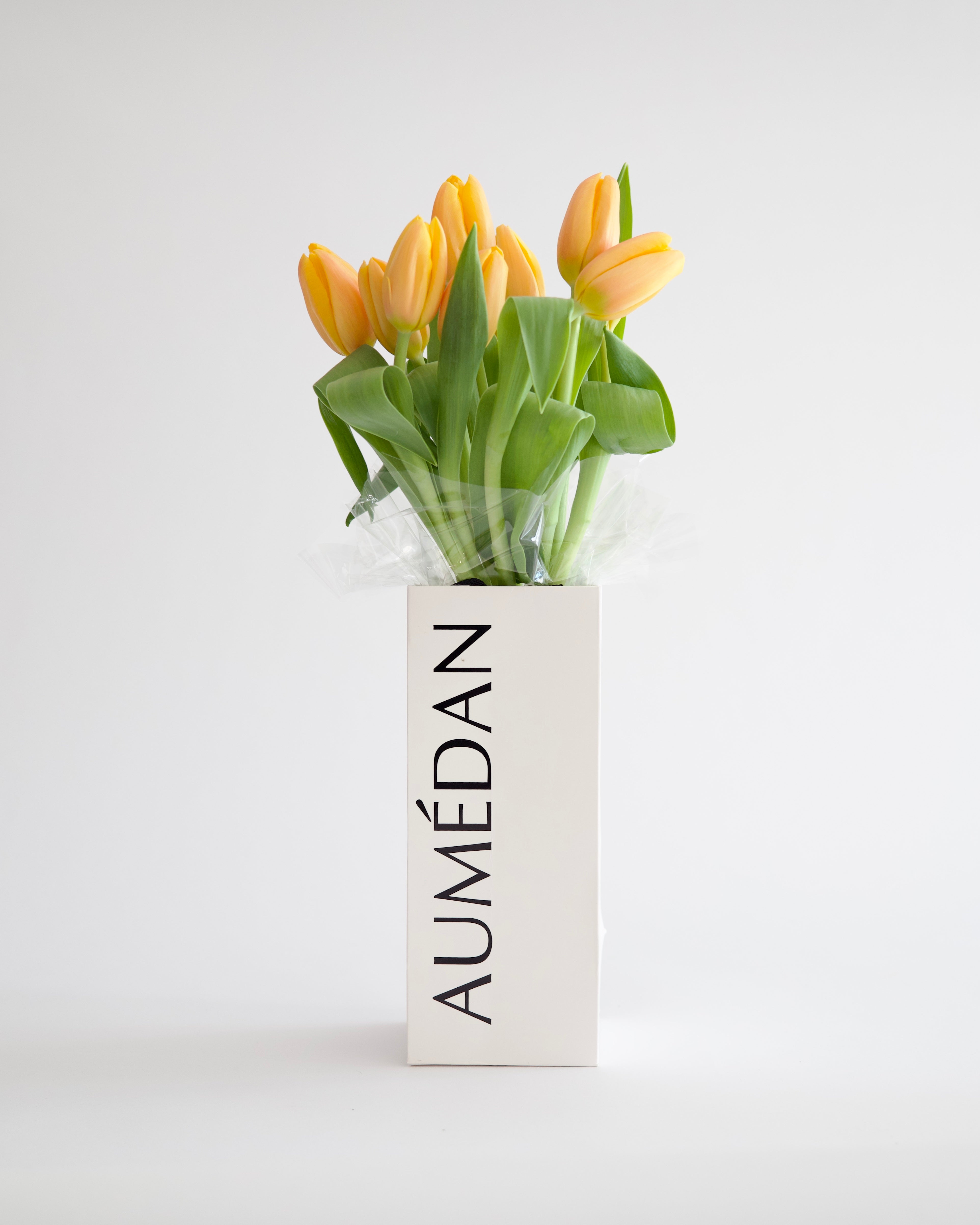 TULIP - BUNCH BAG