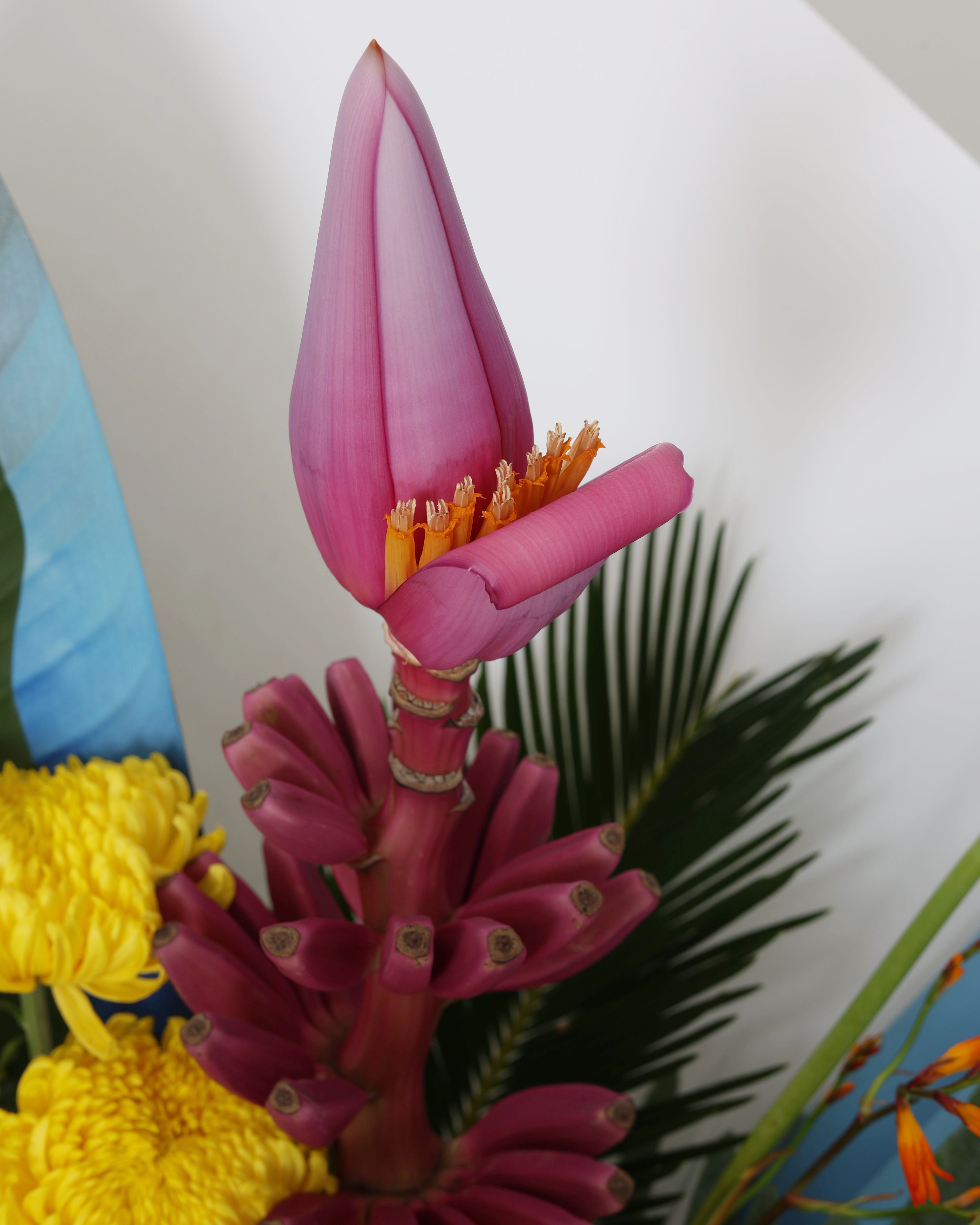 LOS ANGELS NOT ANGELES - MEIDUM BOUQUET