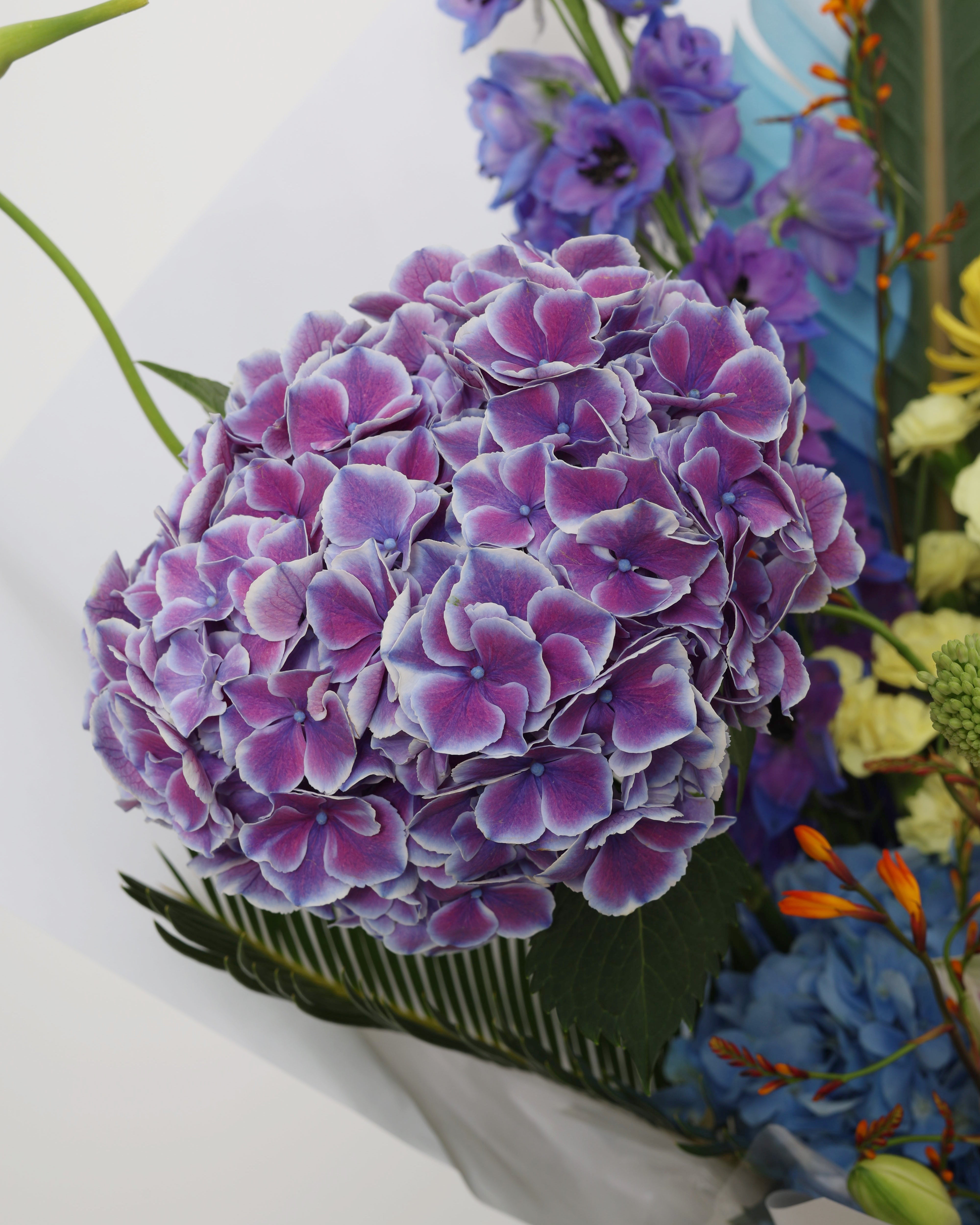 LOS ANGELS NOT ANGELES - MEIDUM BOUQUET