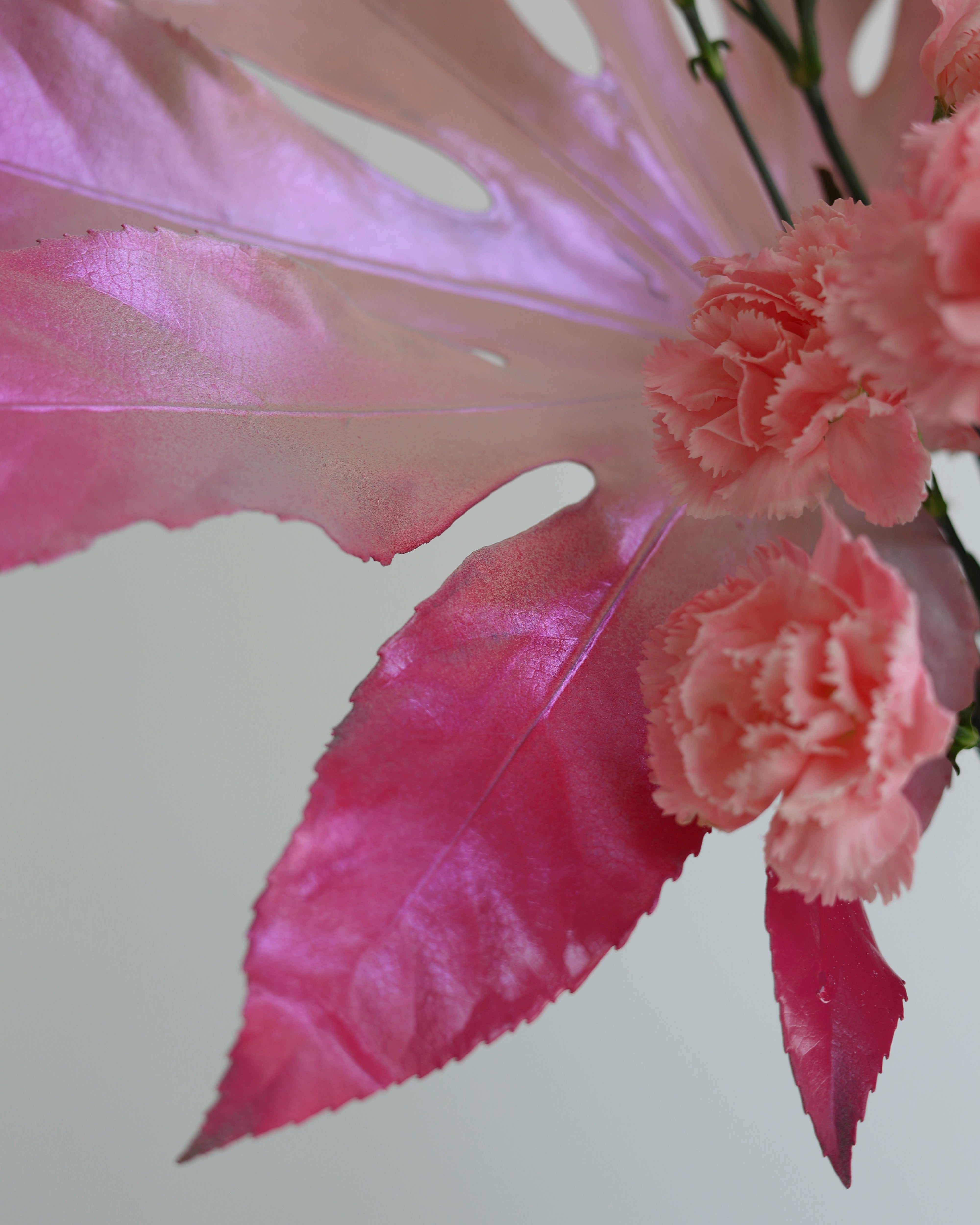 Rouge Magnolia - Quicky Bag
