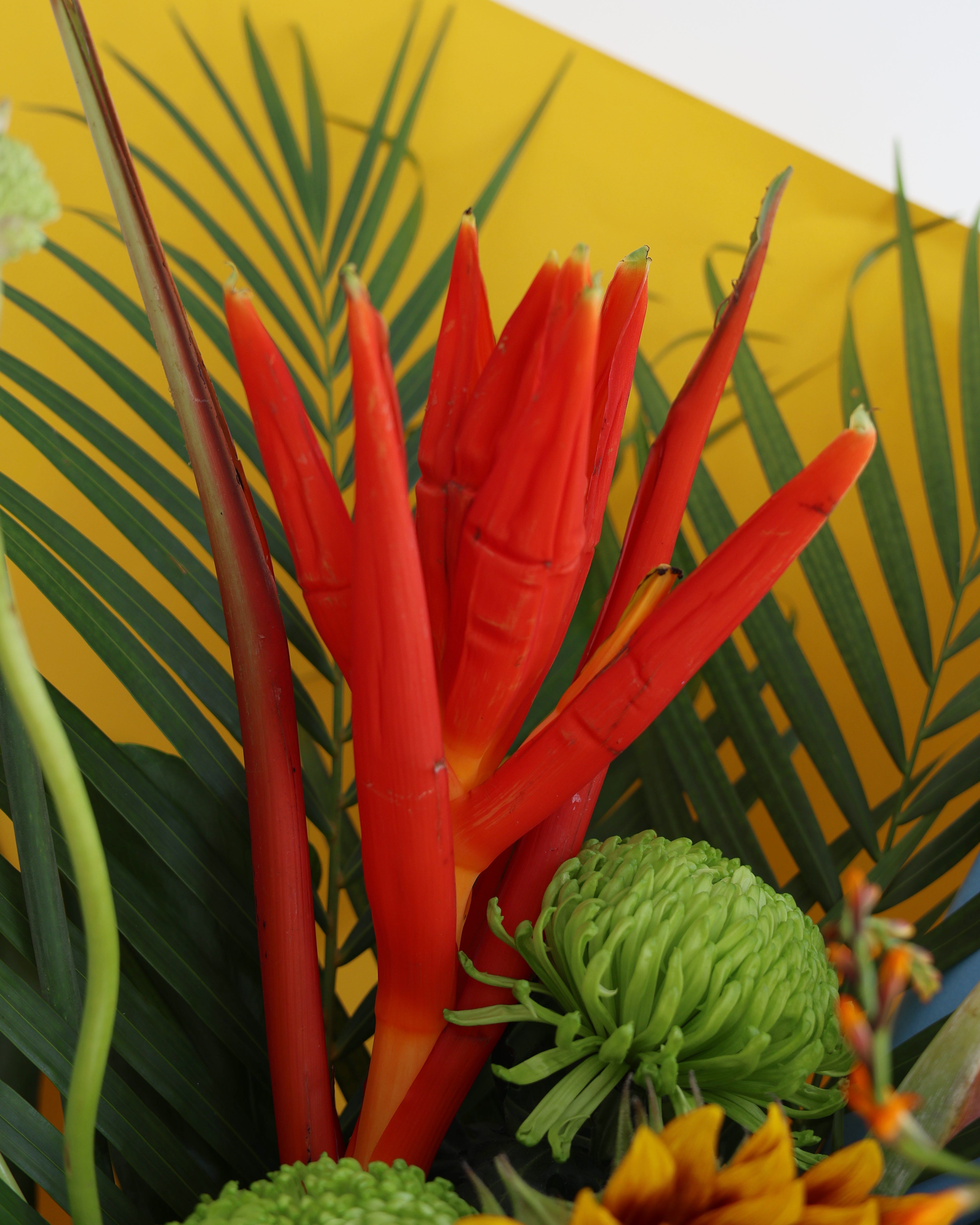 HOT GURL HAWAAIIIII - LARGE Bouquet