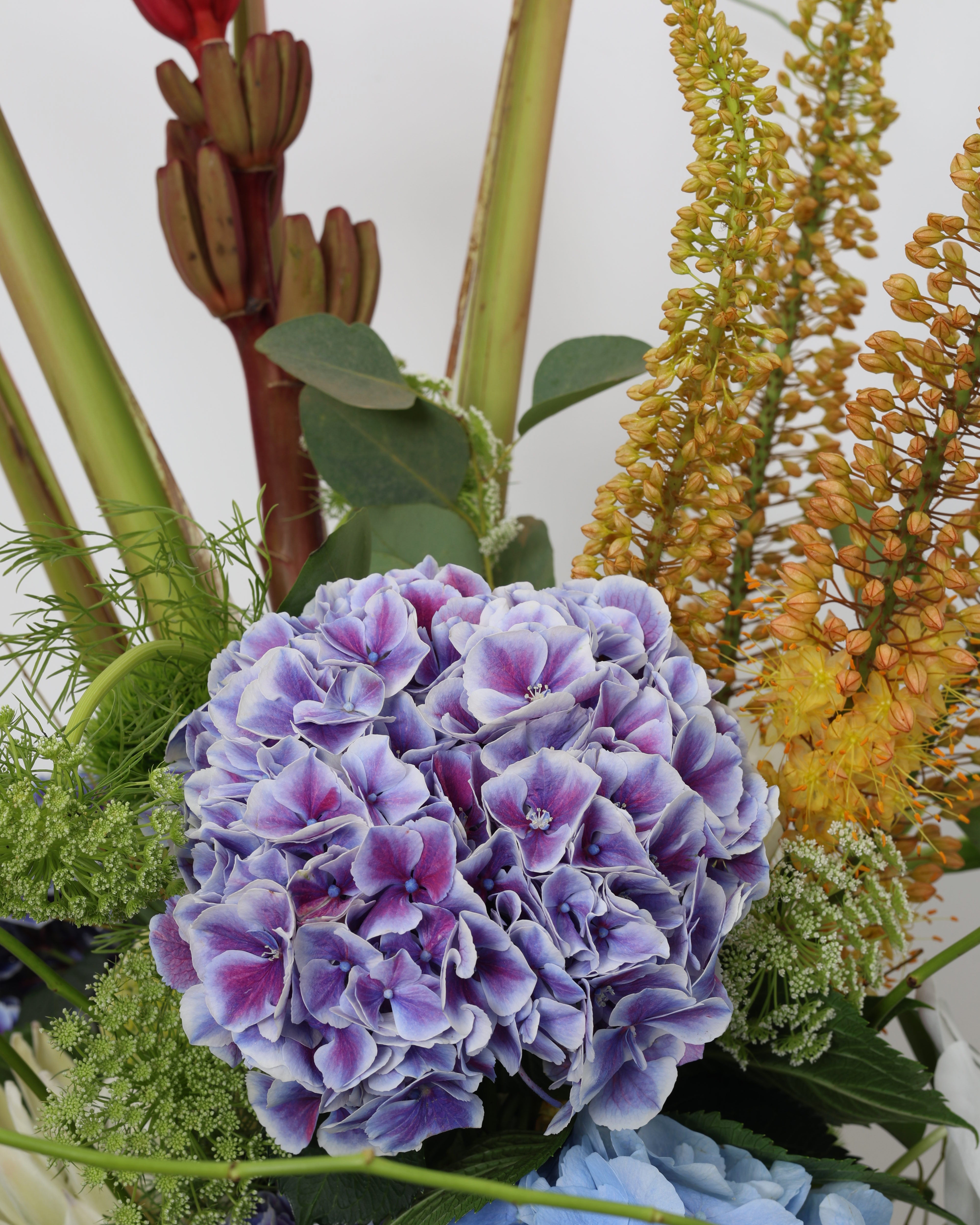 WILD CONFETTI - 360º VASE ARRANGEMENT