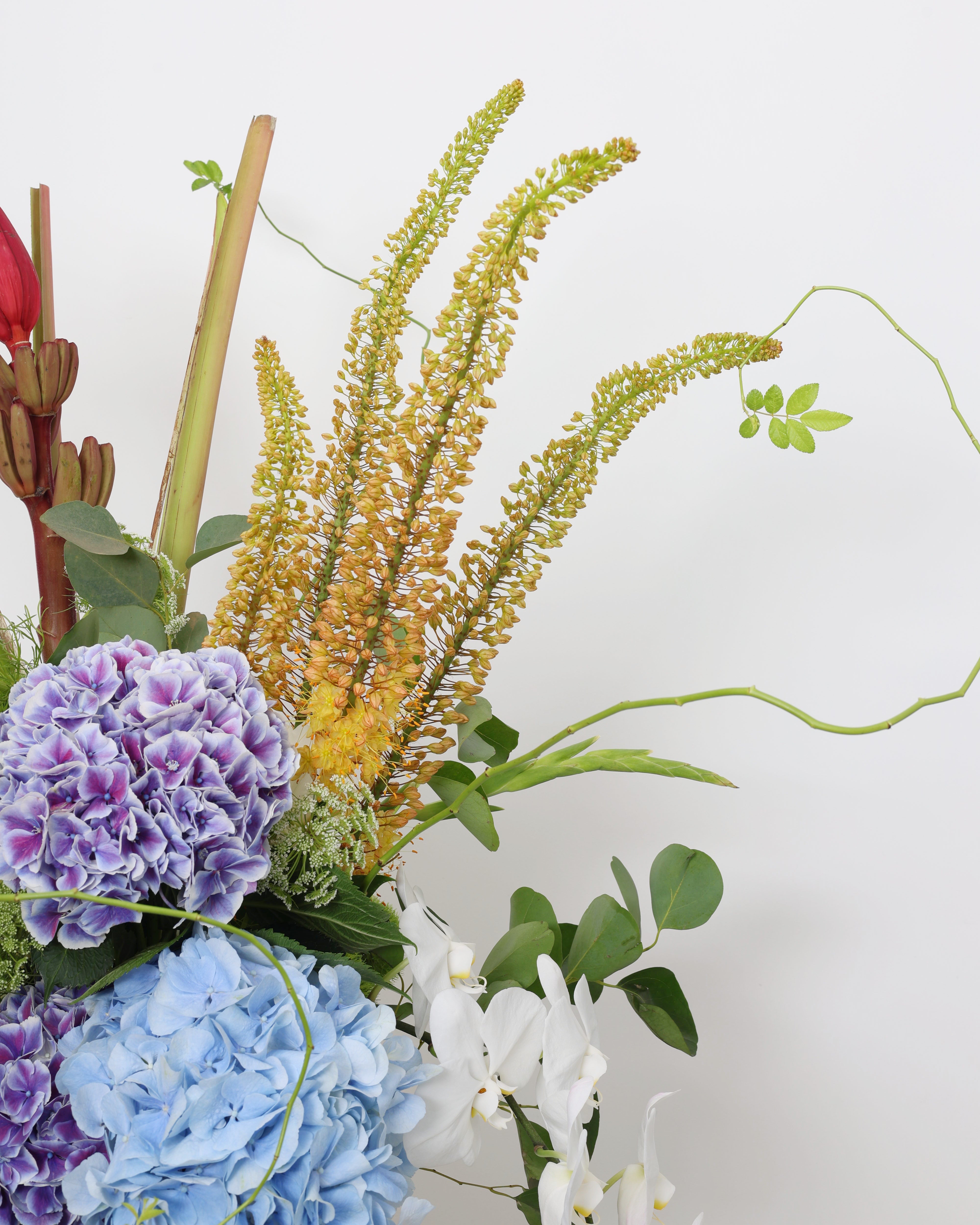 WILD CONFETTI - 360º VASE ARRANGEMENT