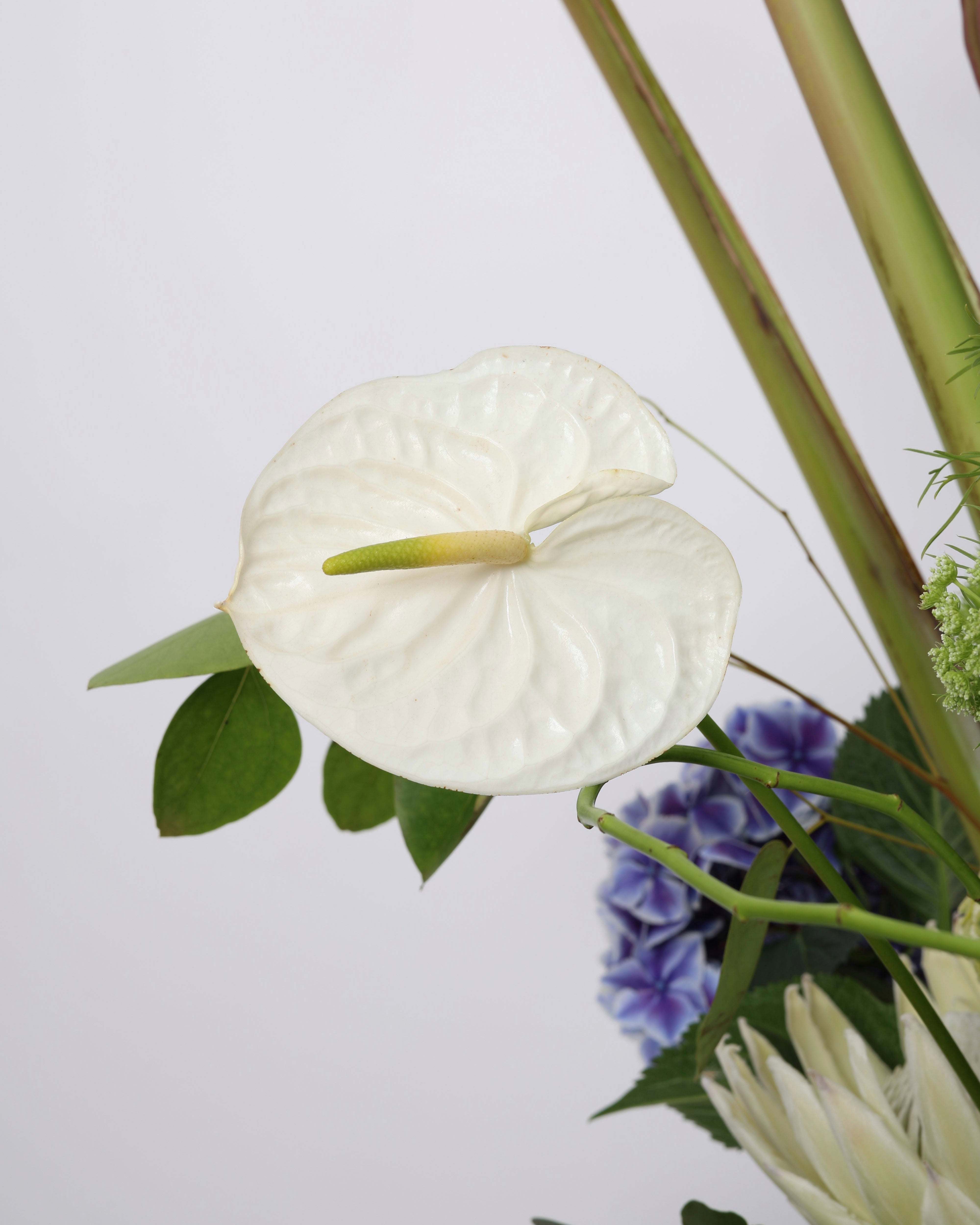WILD CONFETTI - 360º VASE ARRANGEMENT