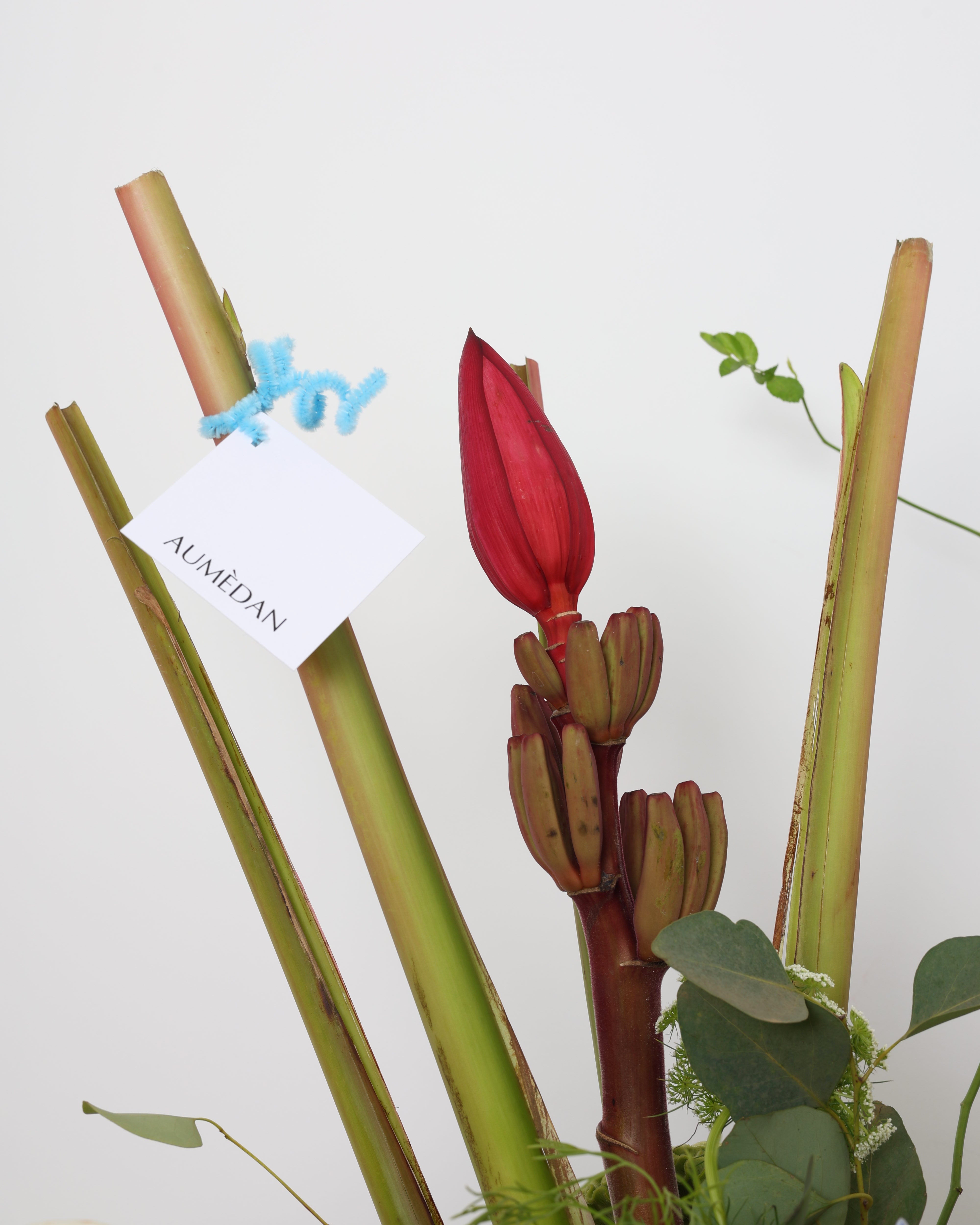 WILD CONFETTI - 360º VASE ARRANGEMENT