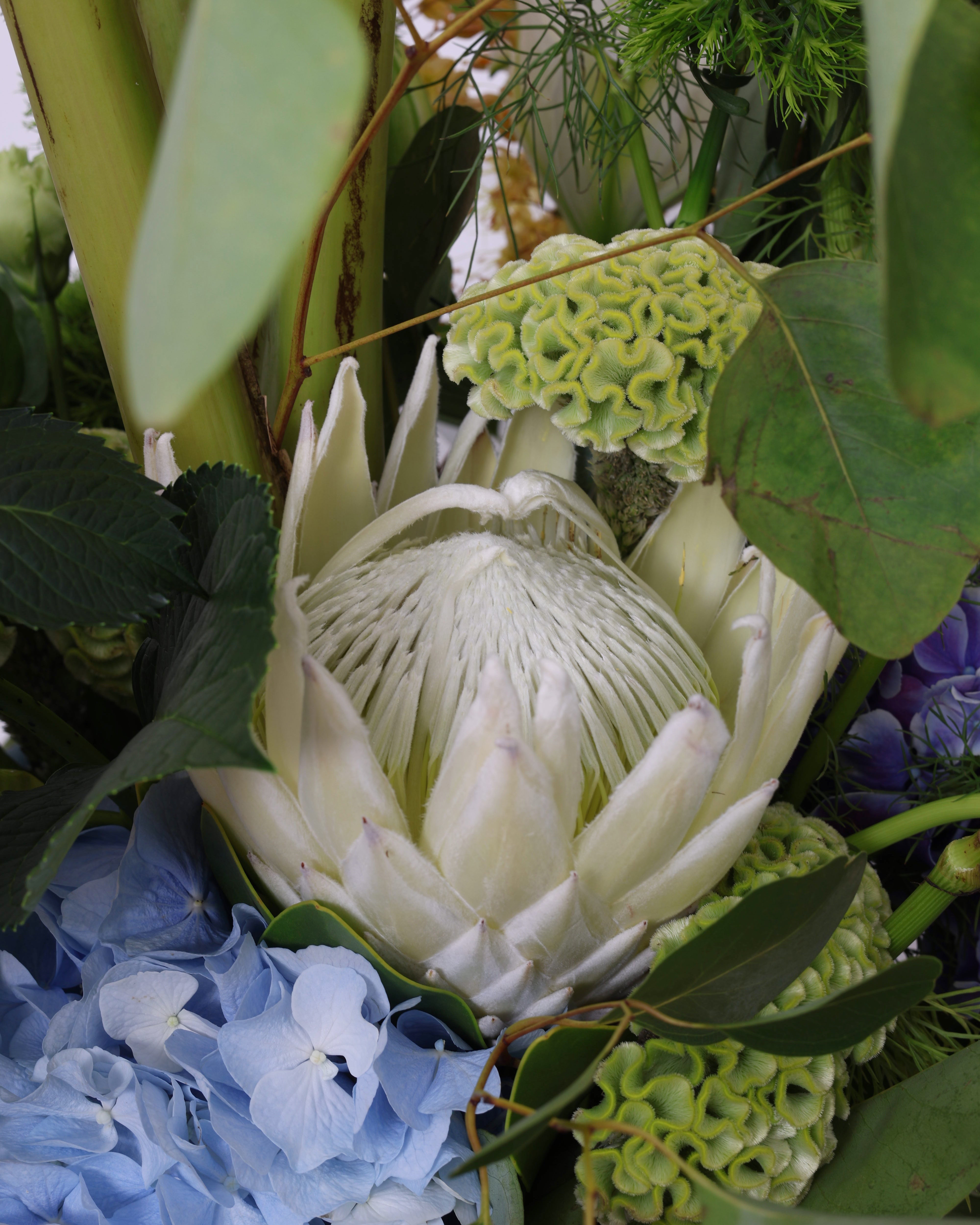 WILD CONFETTI - 360º VASE ARRANGEMENT