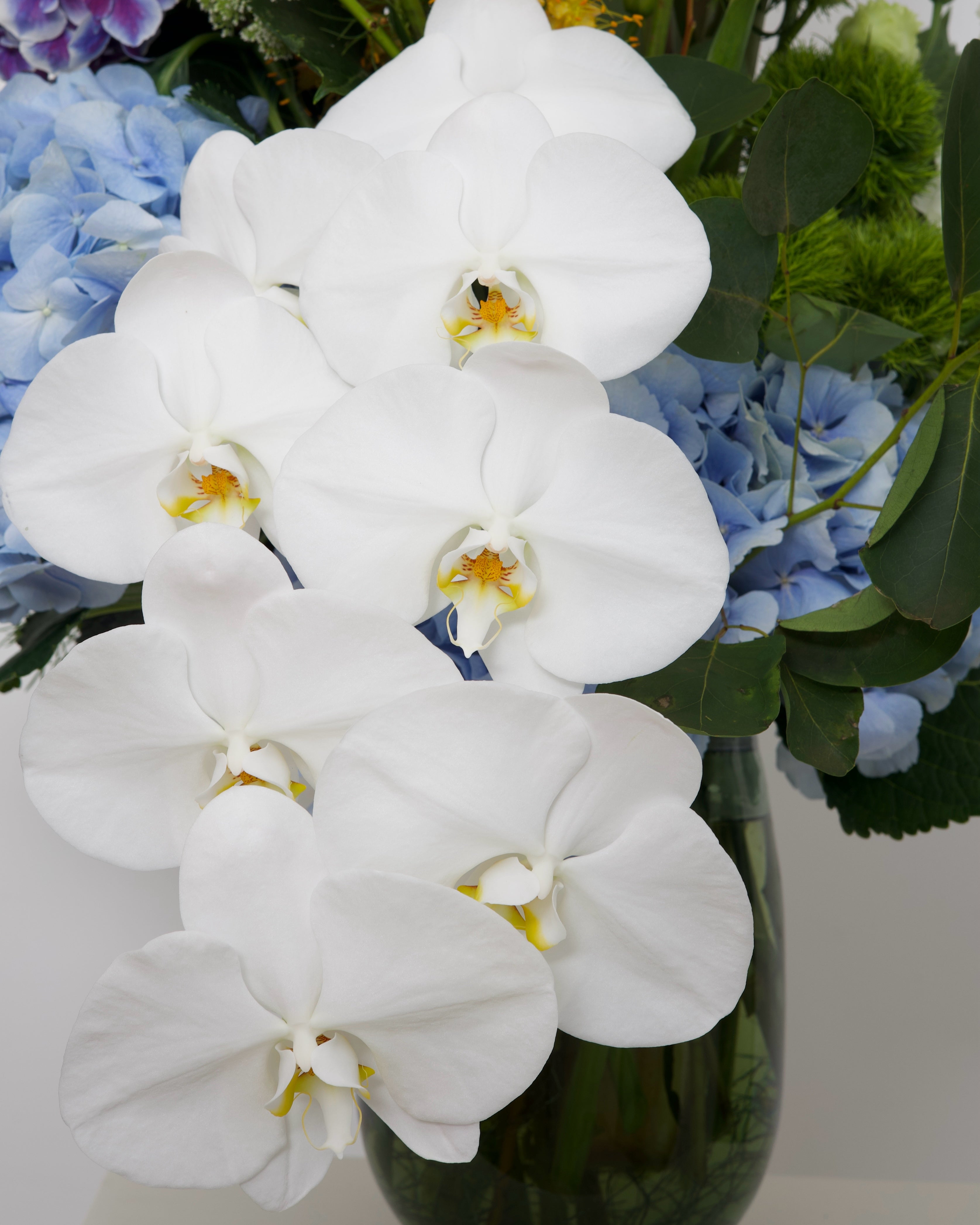 WILD CONFETTI - 360º VASE ARRANGEMENT