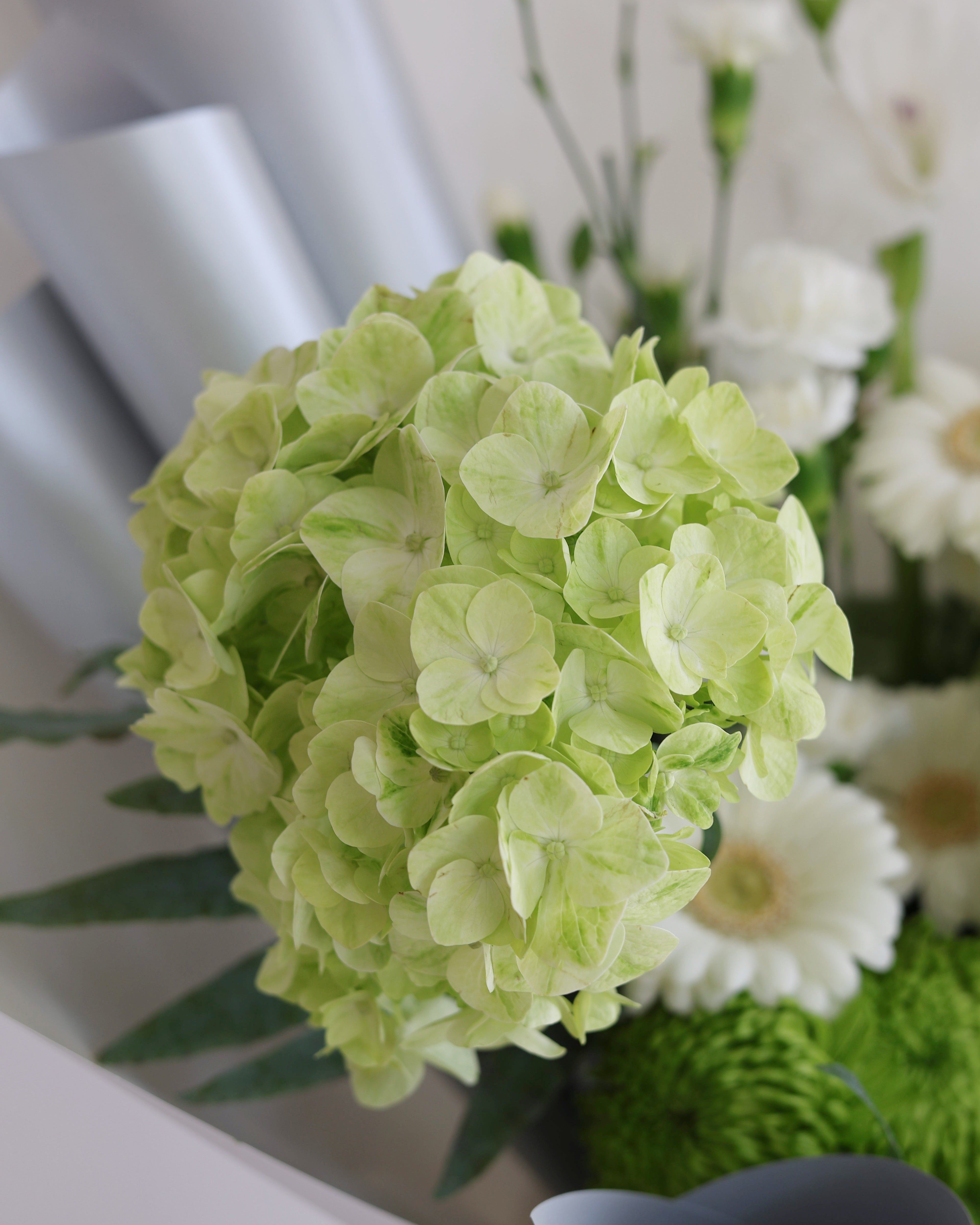 BLANCHÉ- MEIDUM BOUQUET