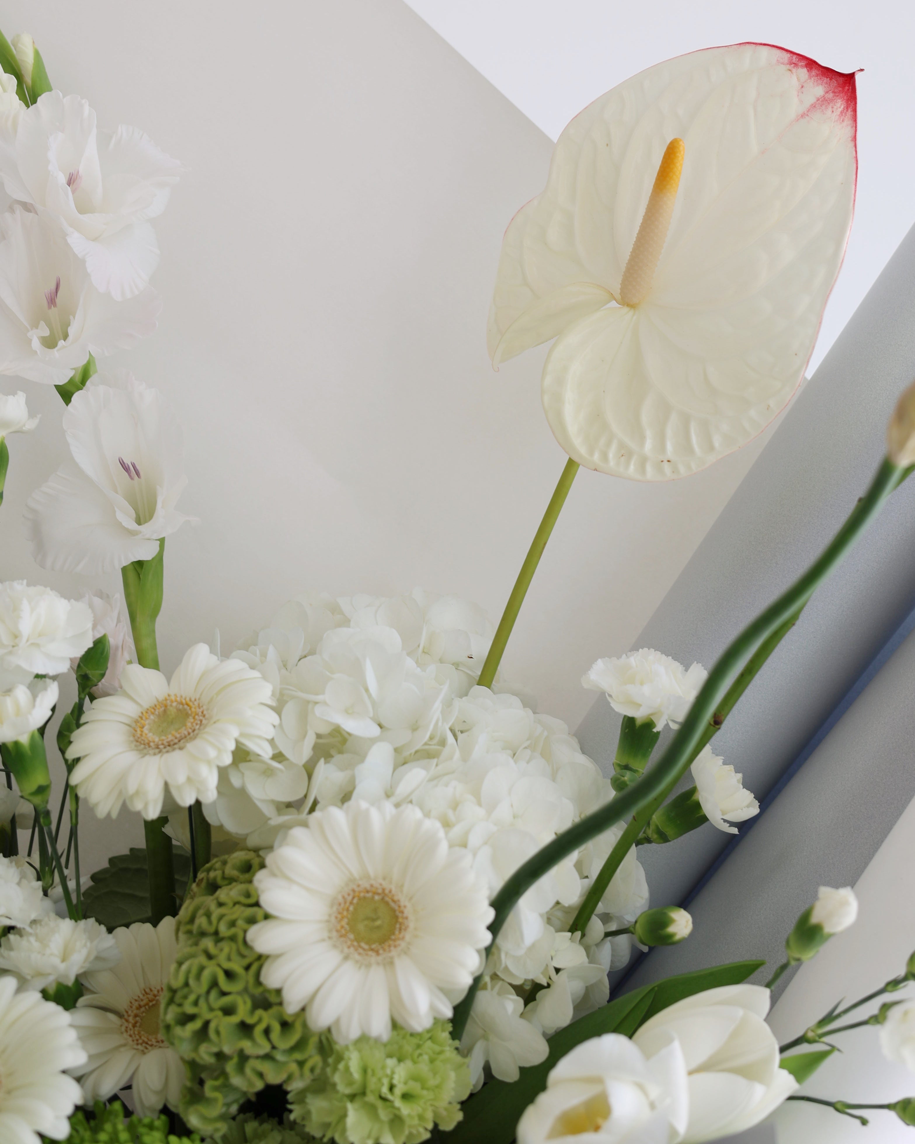 BLANCHÉ- MEIDUM BOUQUET