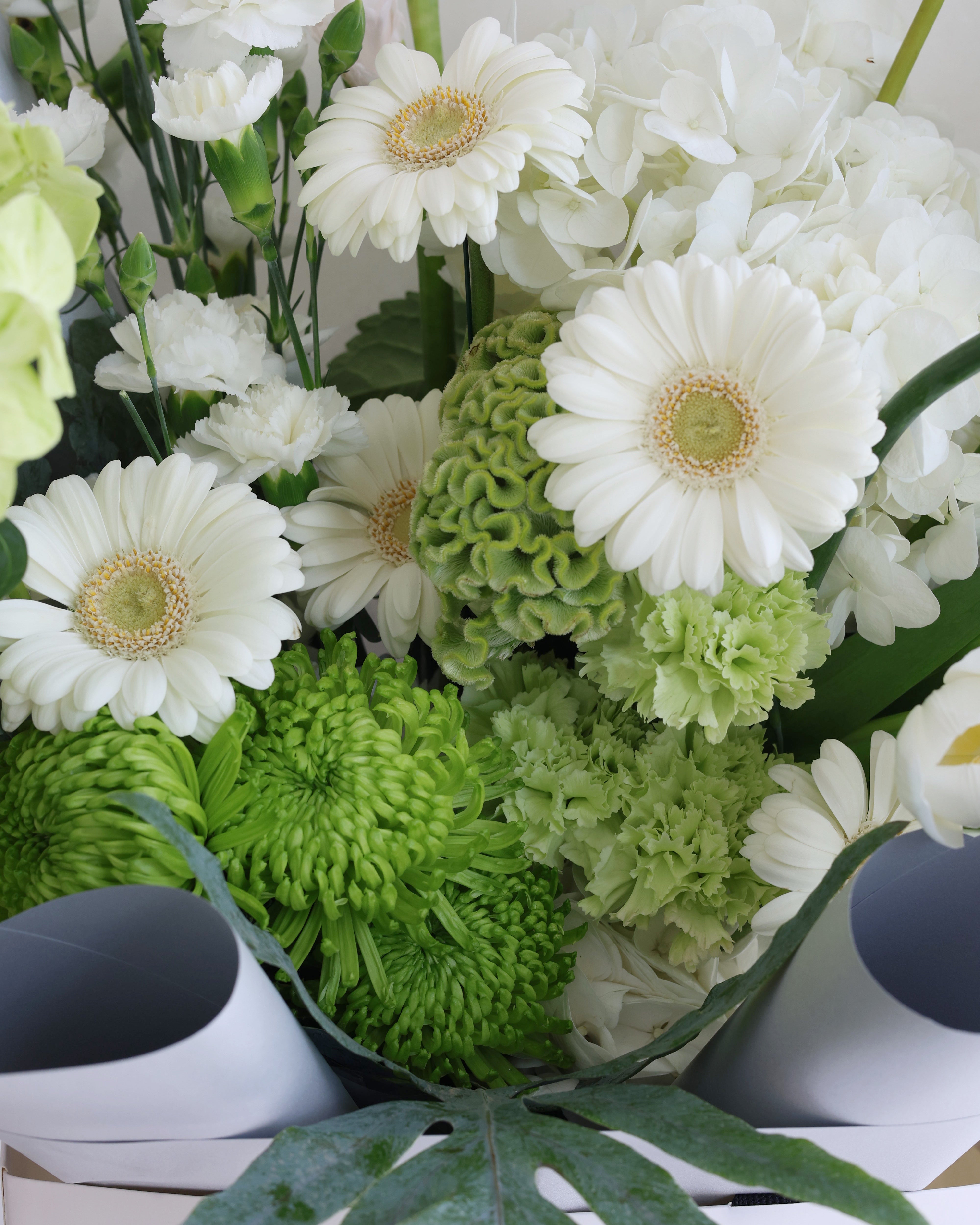 BLANCHÉ- MEIDUM BOUQUET