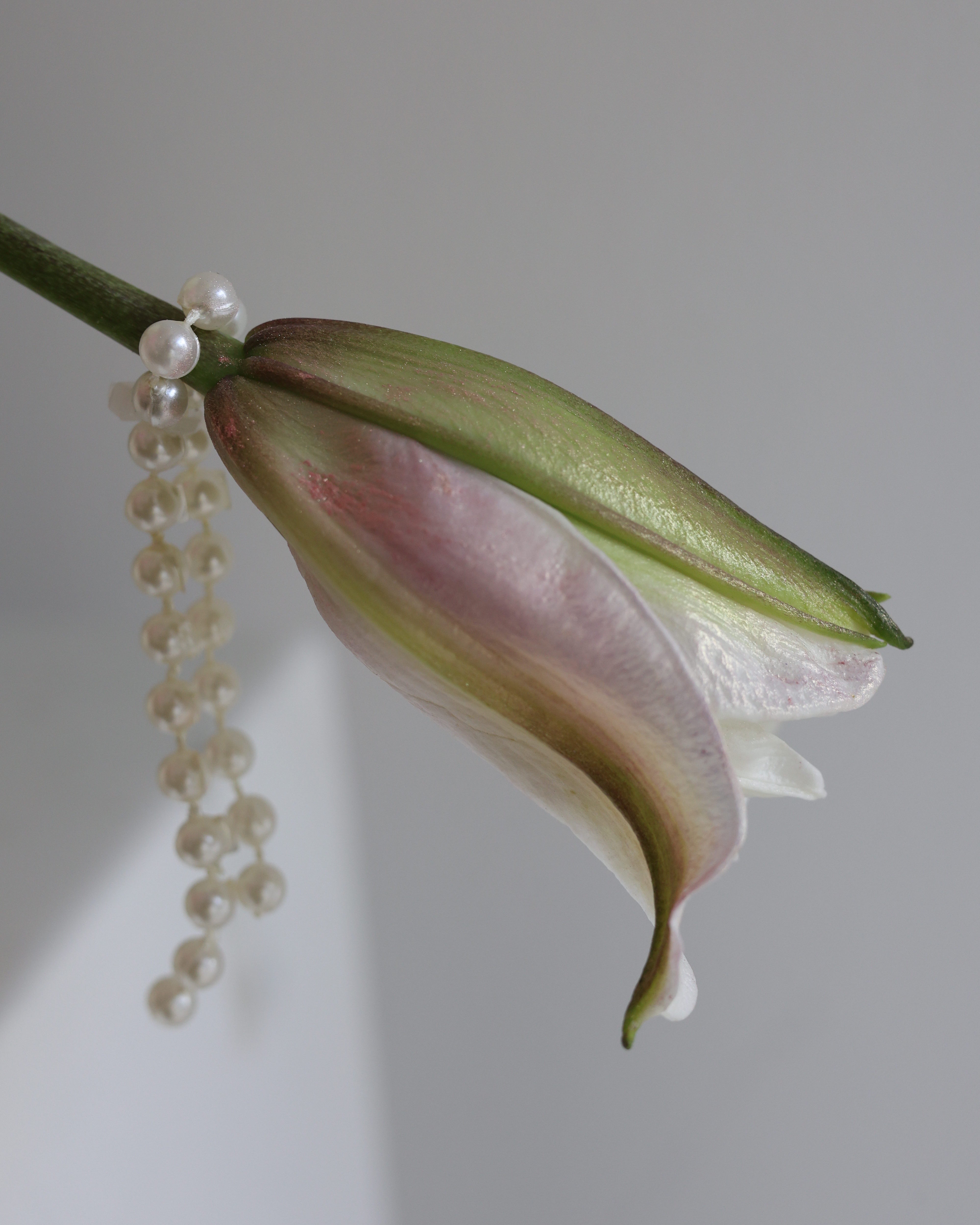 a walk to remember - VASE ARRANGEMENT