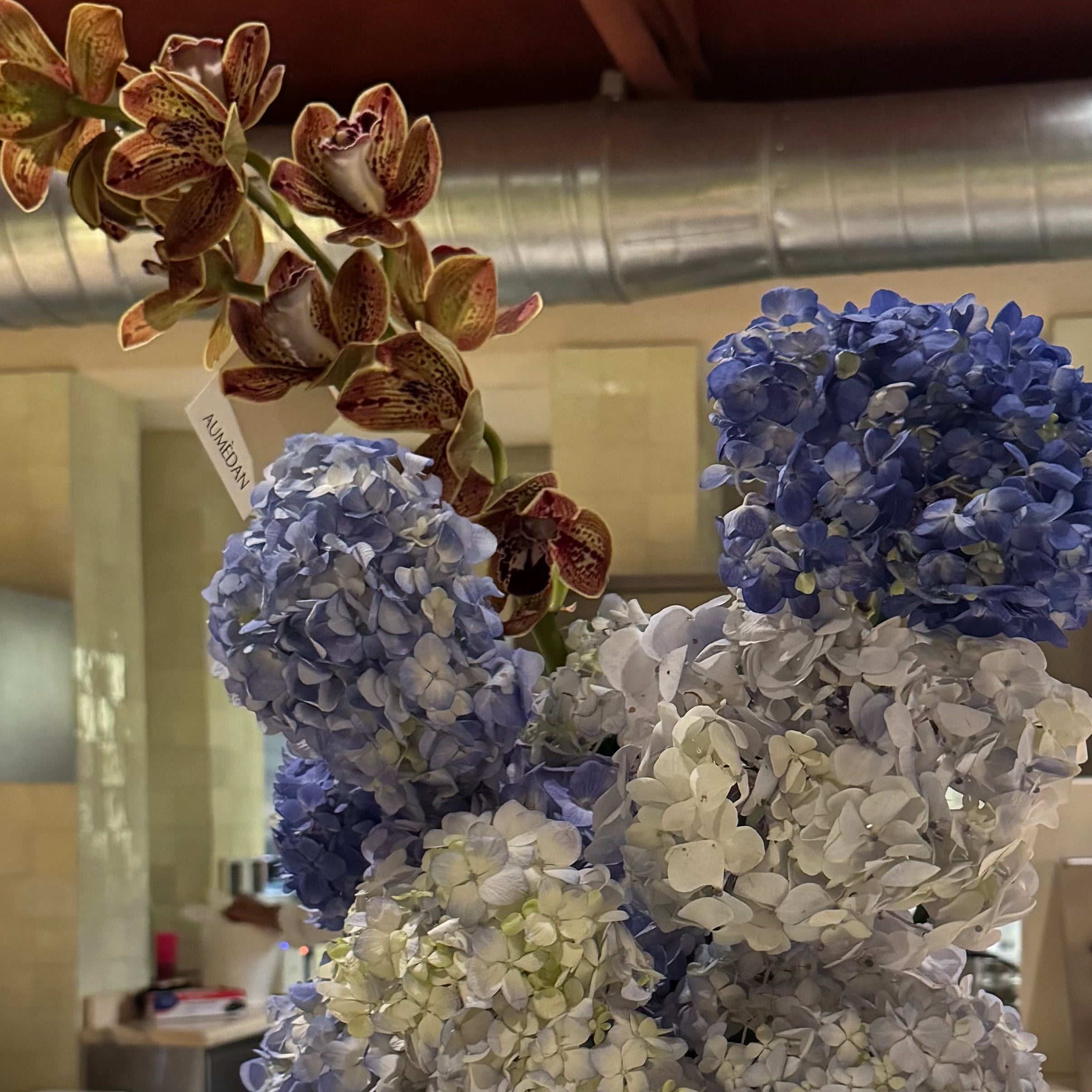 Peacock - All Around arrangement