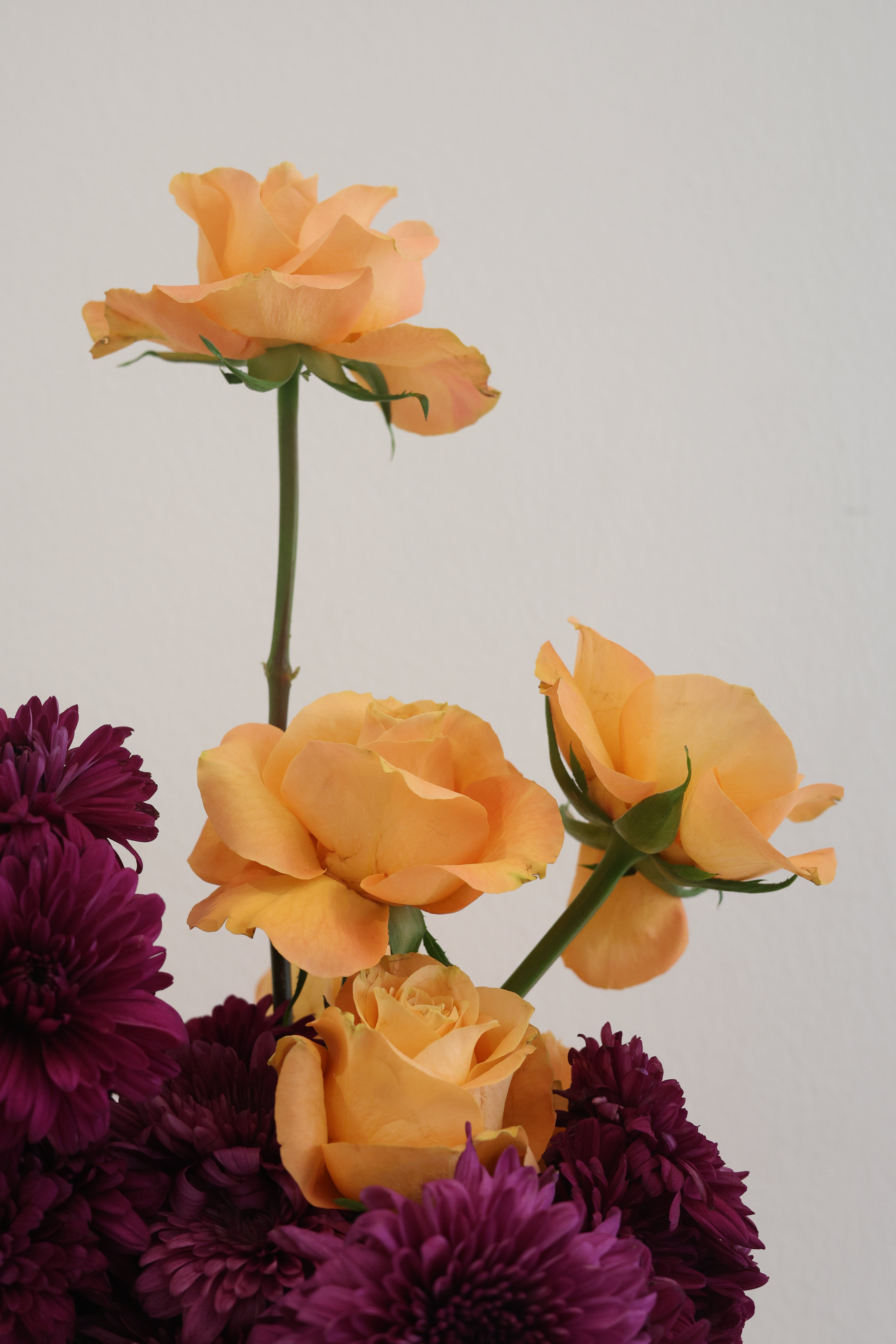 Moon Light - 360º VASE ARRANGEMENT