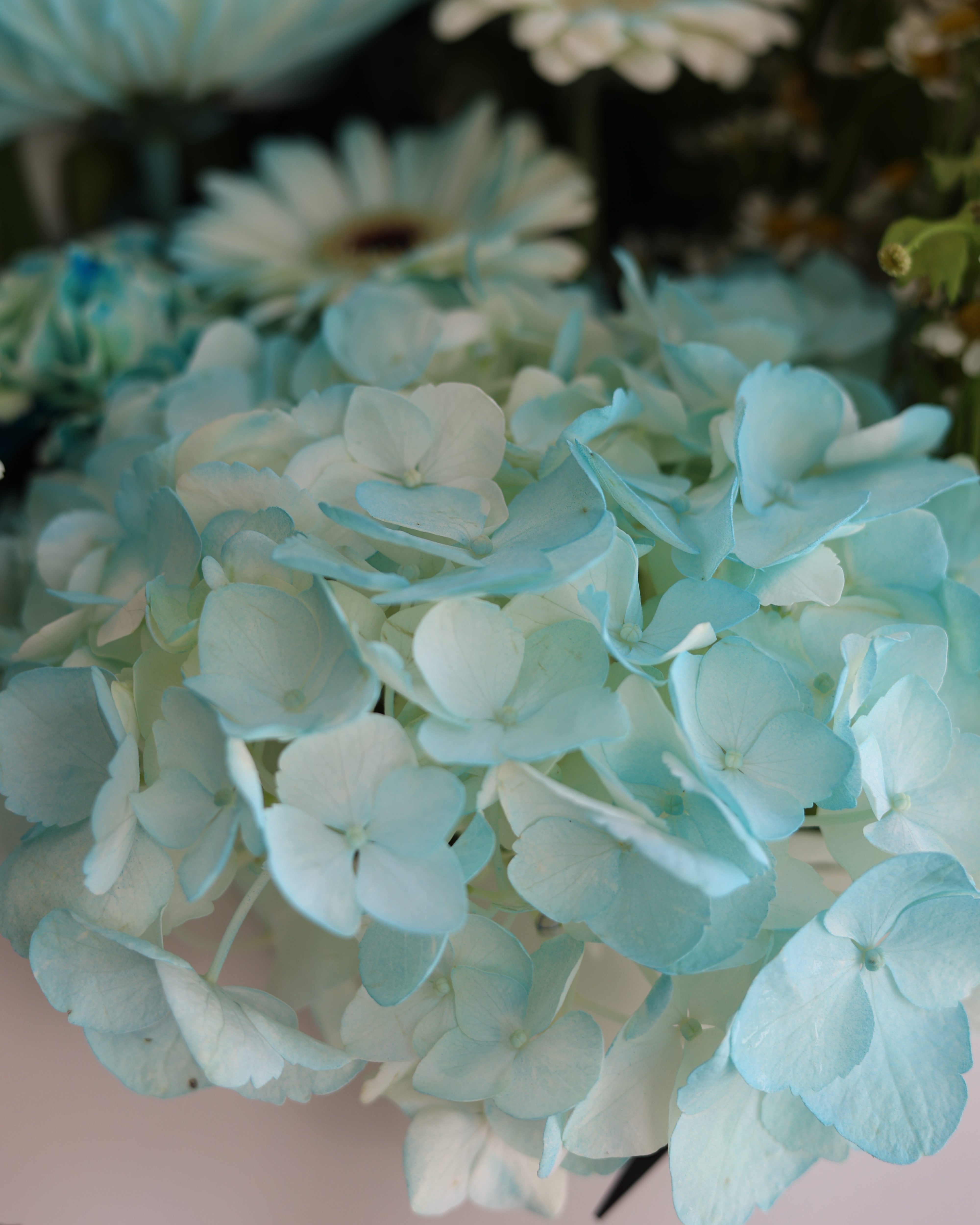 iceberg - sleeve bouquet