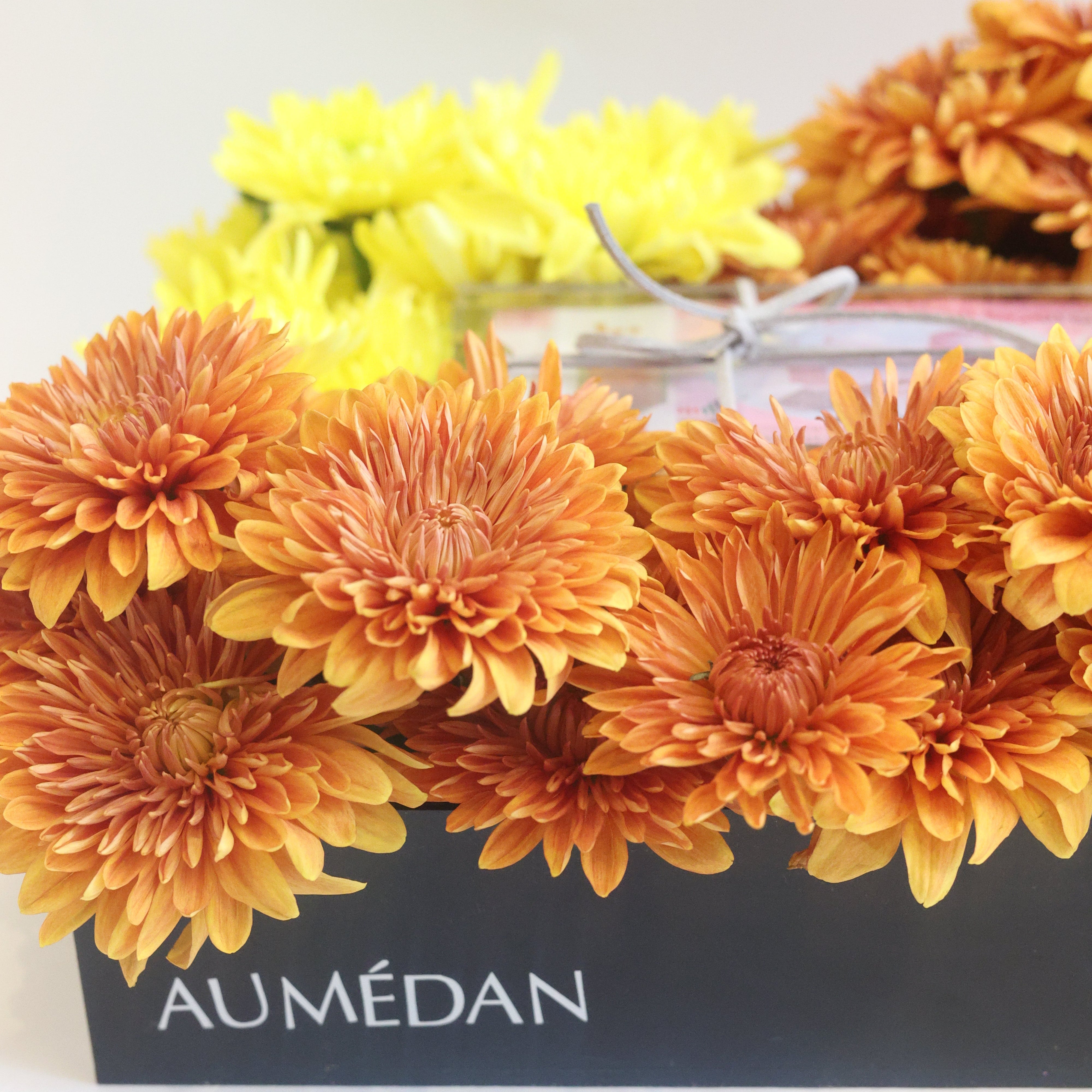 SUNSET TRAY - FLORAL TRAY