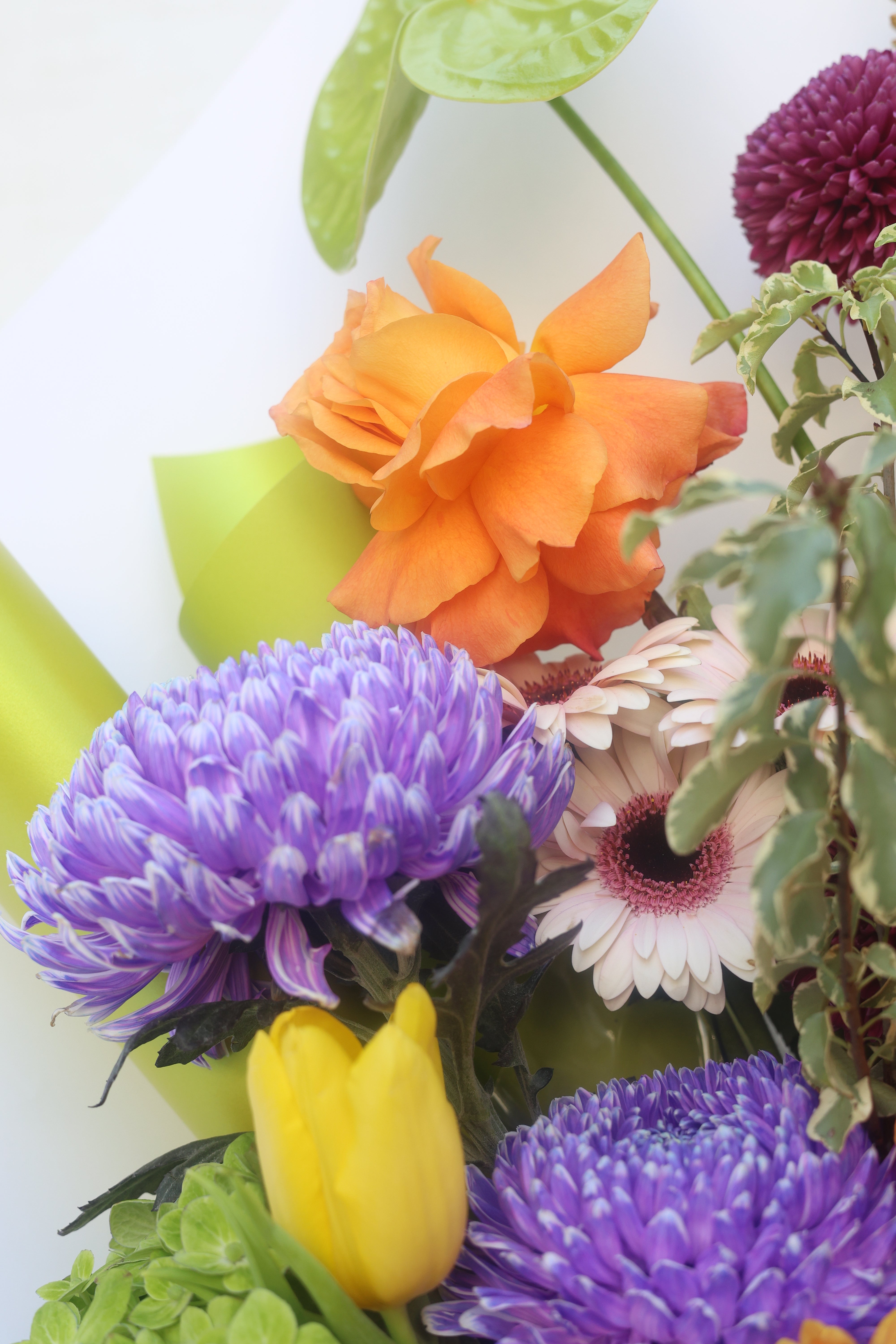 GARDEN CARNIVAL - LARGE BOUQUET