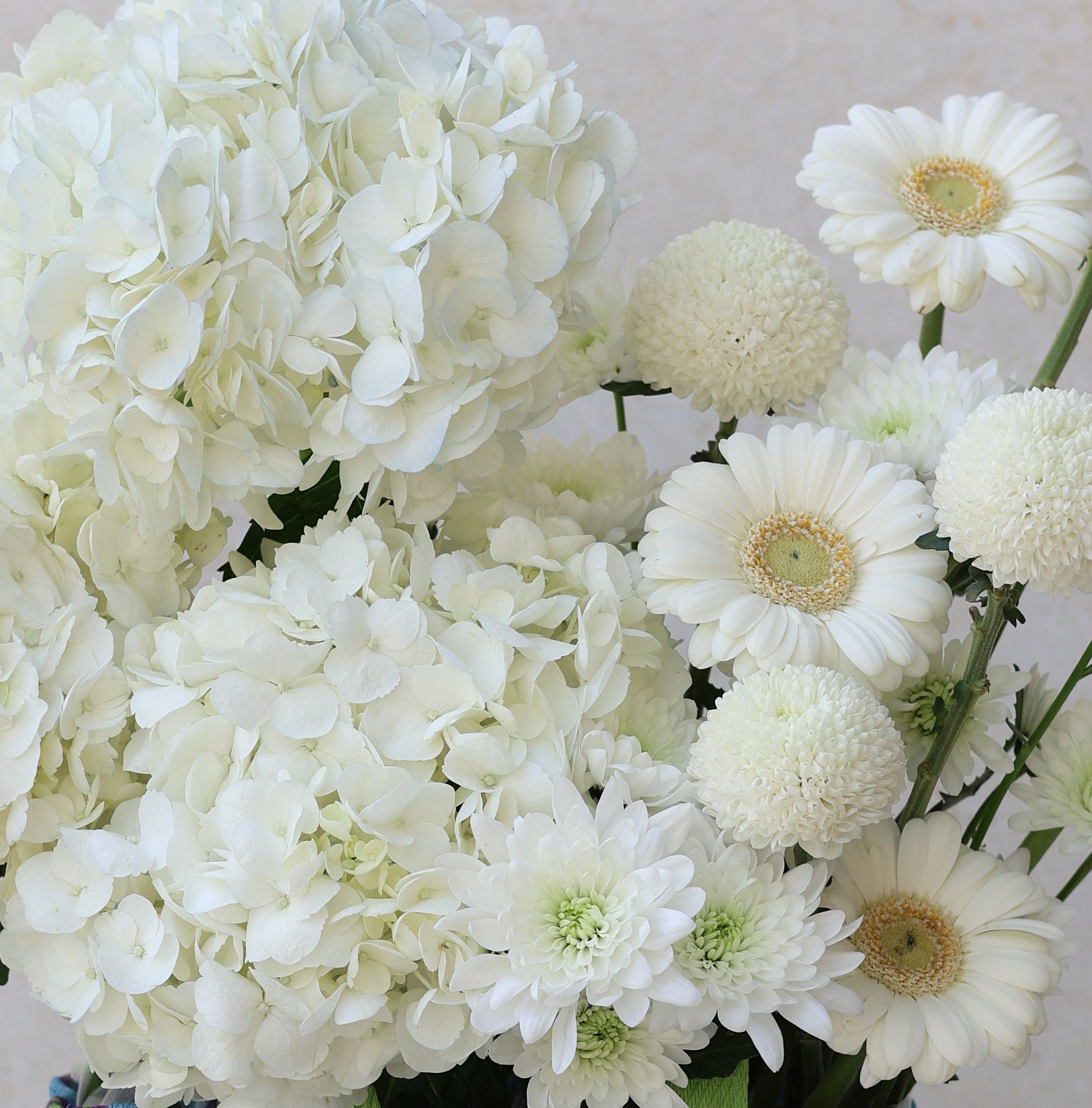 CALM TIDE- AUMÉDAN ÉPURE