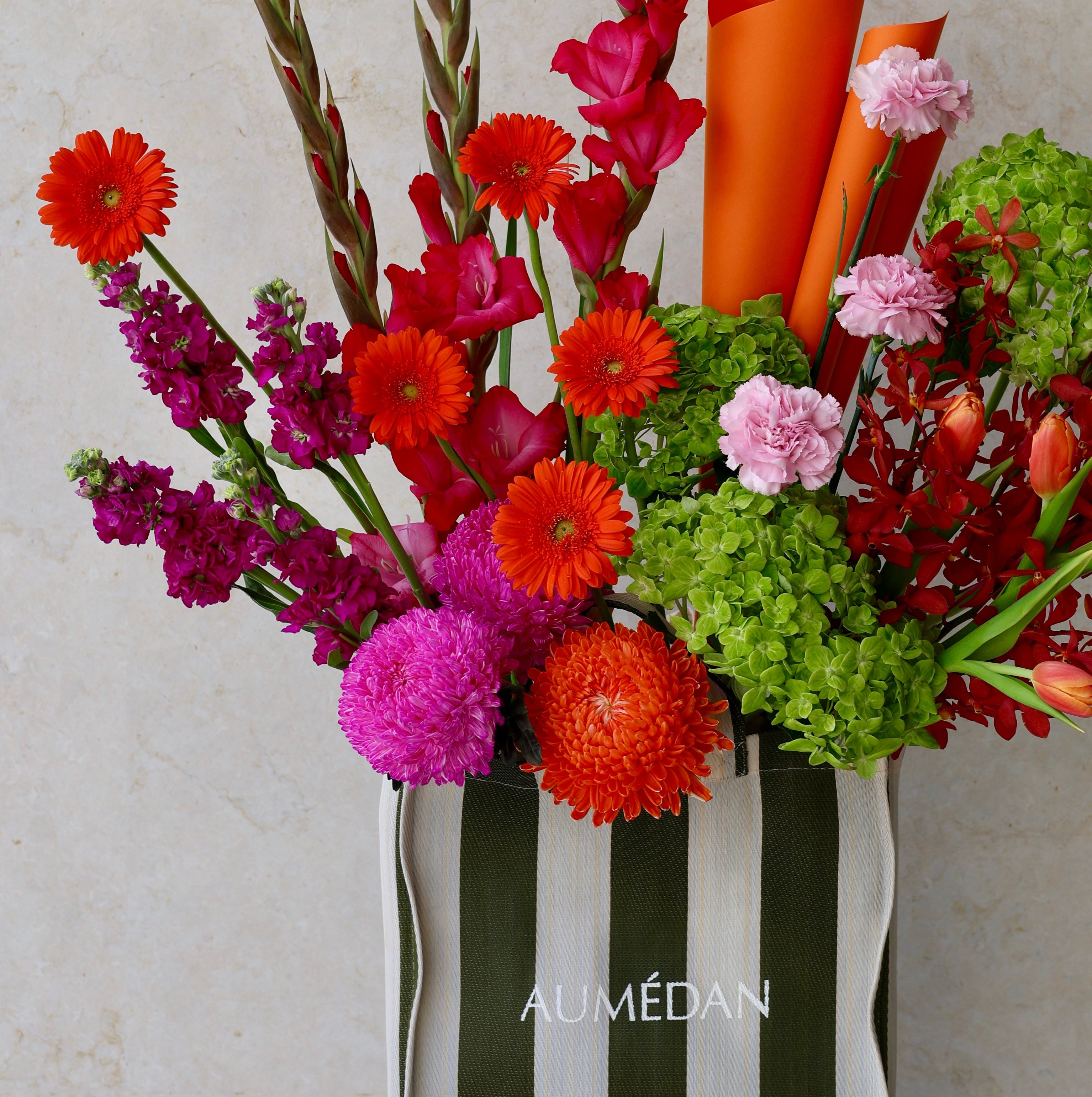 Top Notch - AUMÉDAN ÉPURE