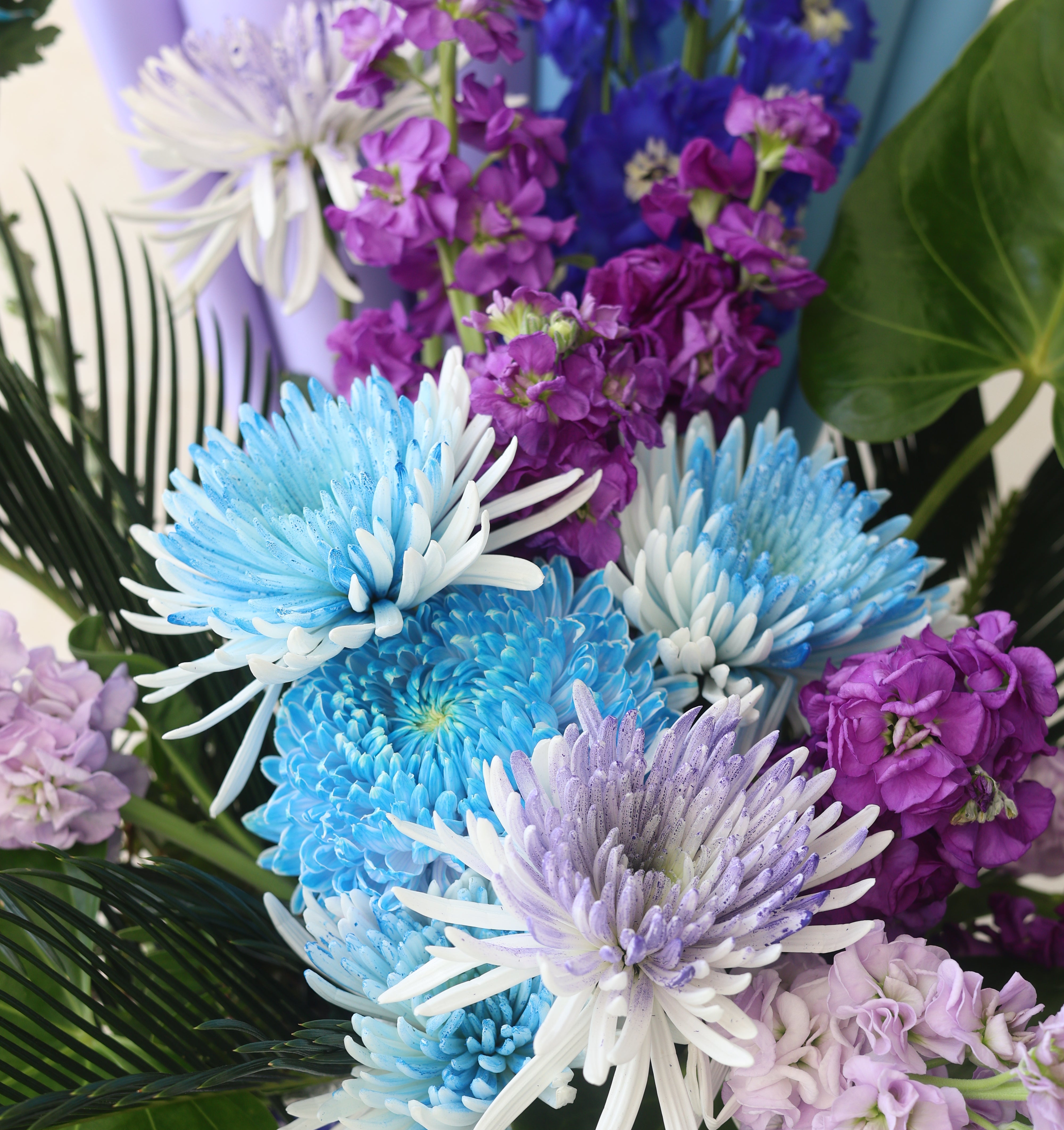 MIDNIGHT BLOOM - TRITOTE BAG ARRANGEMENT