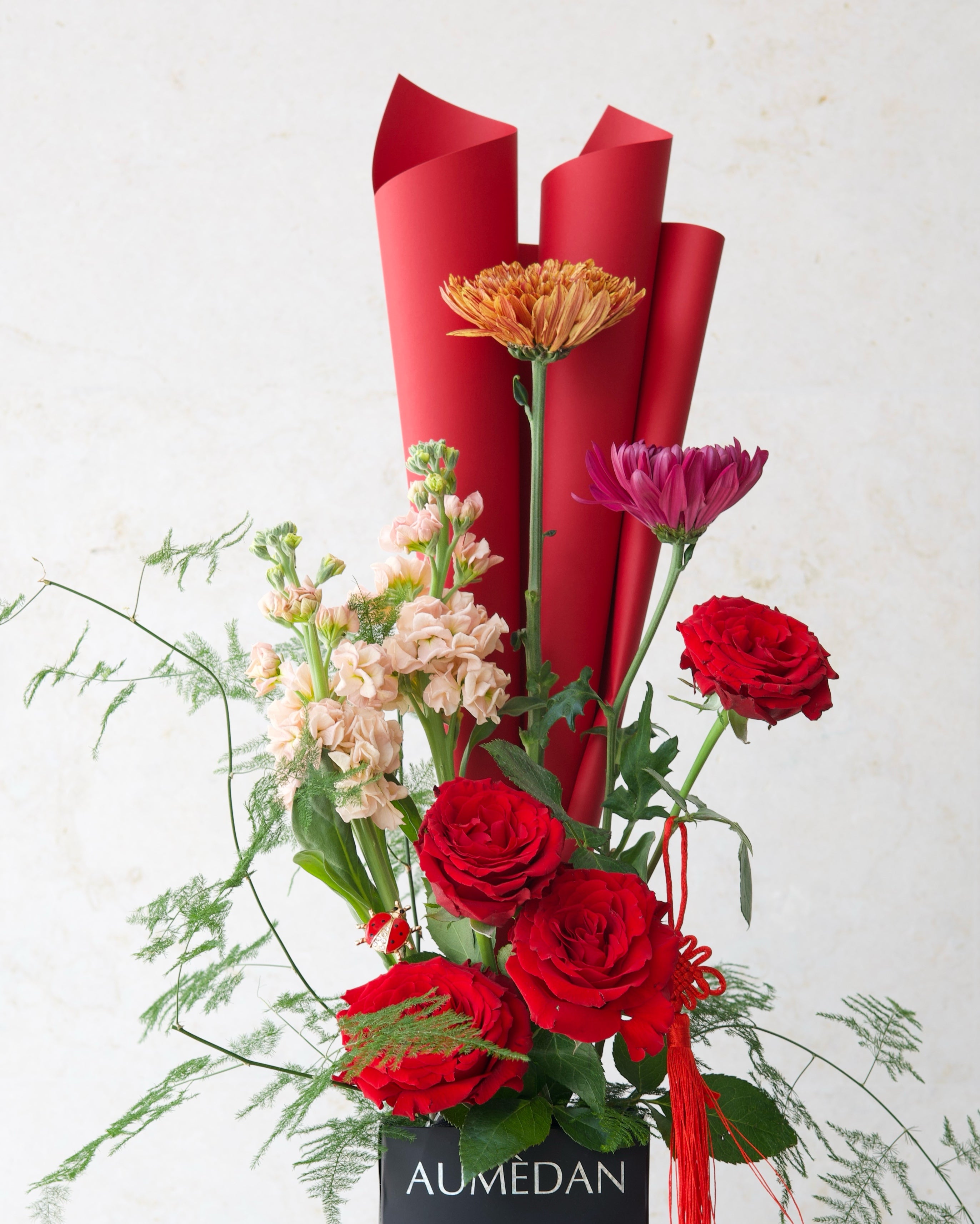 COCCINELLE ÉCLAIR - quicky bag