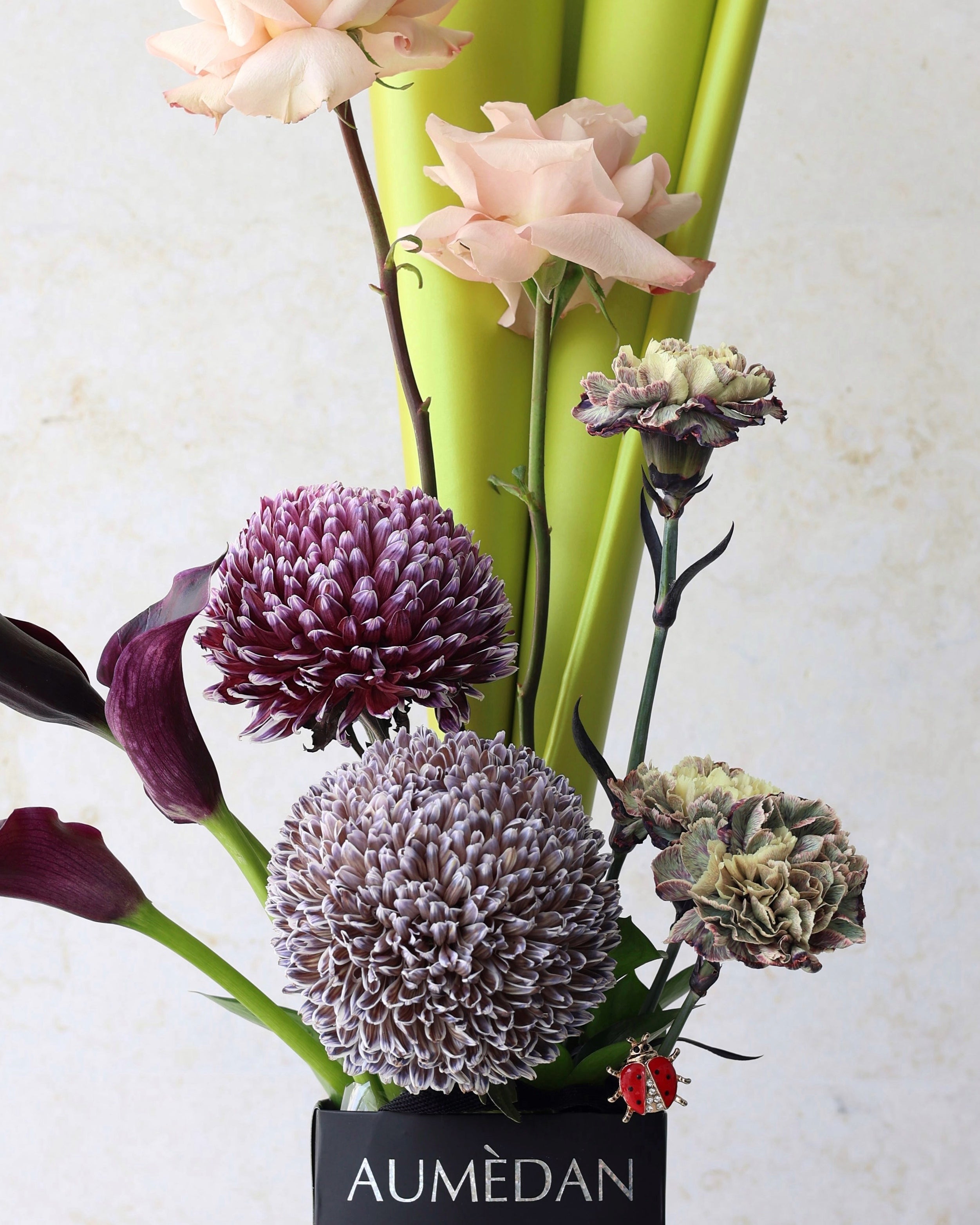 COCCINELLE MYSTIQUE - quicky bag