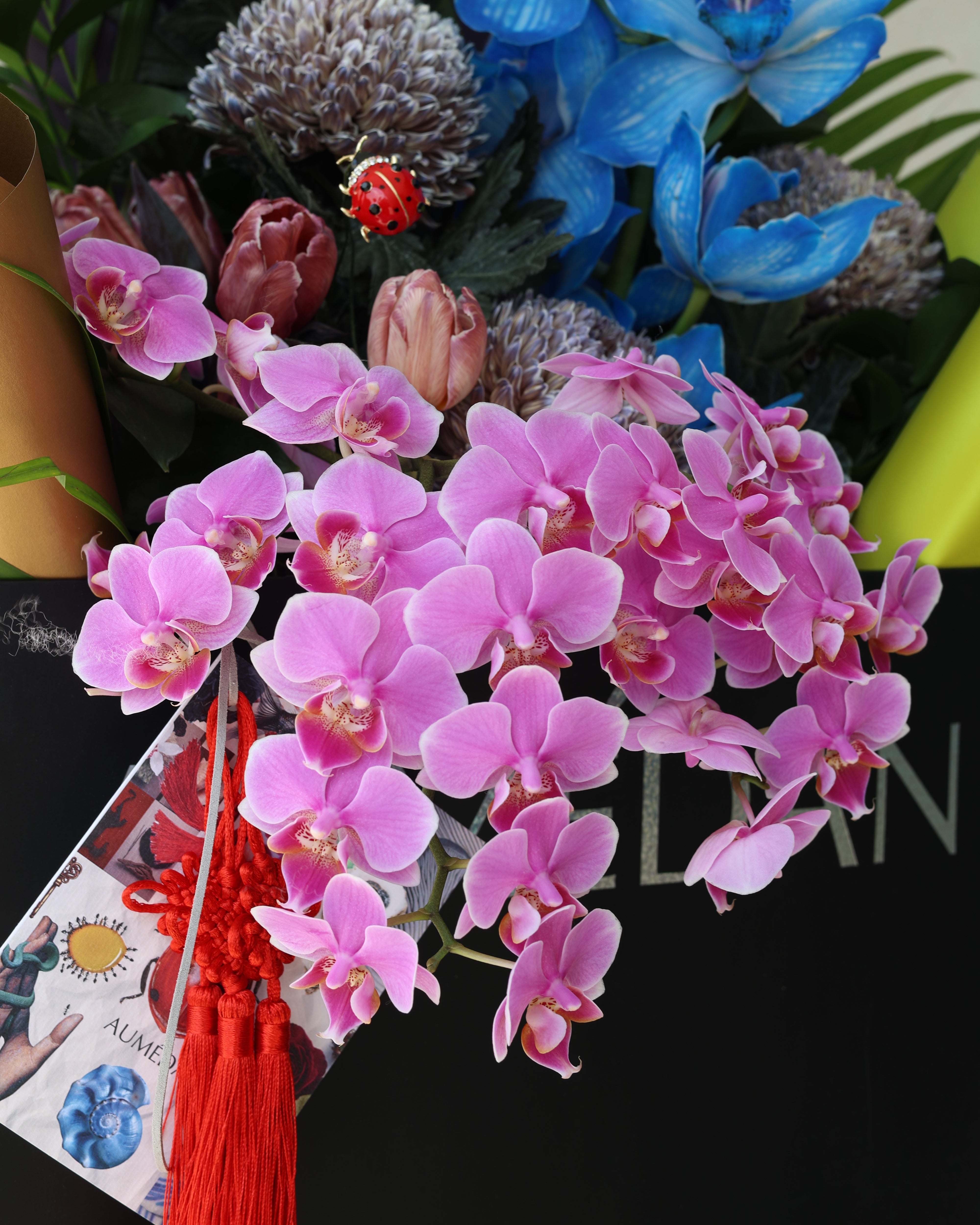 COCCINELLE RÊVERIE - SLEEVE BOUQUET