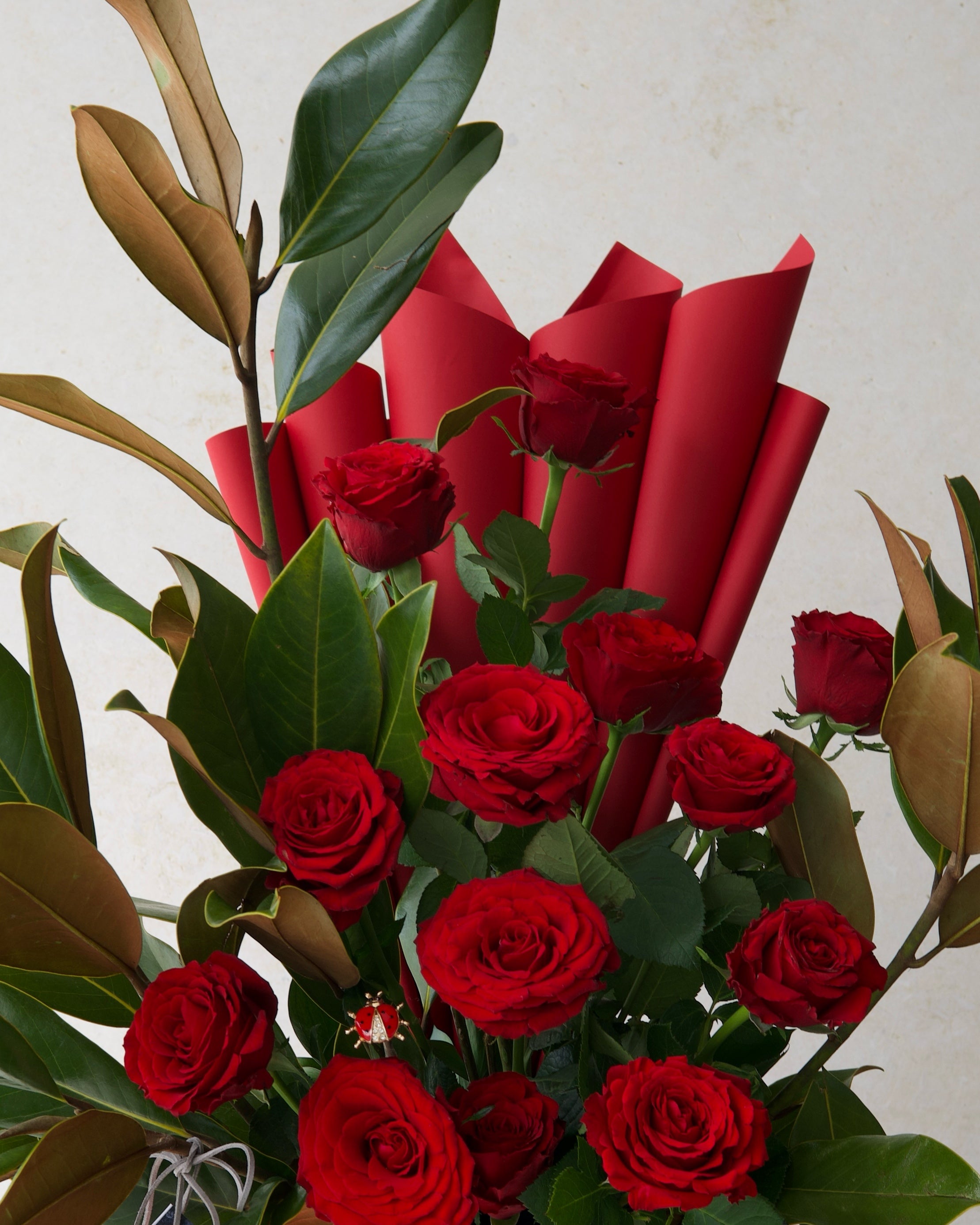 COCCINELLE AMOURÉ - TRITOTE BAG ARRANGEMENT