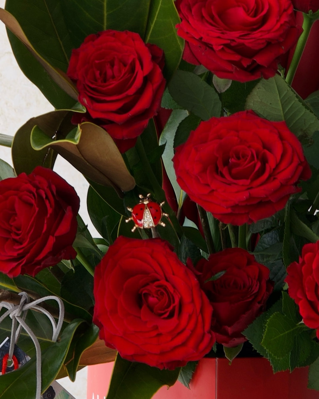 COCCINELLE AMOURÉ - TRITOTE BAG ARRANGEMENT