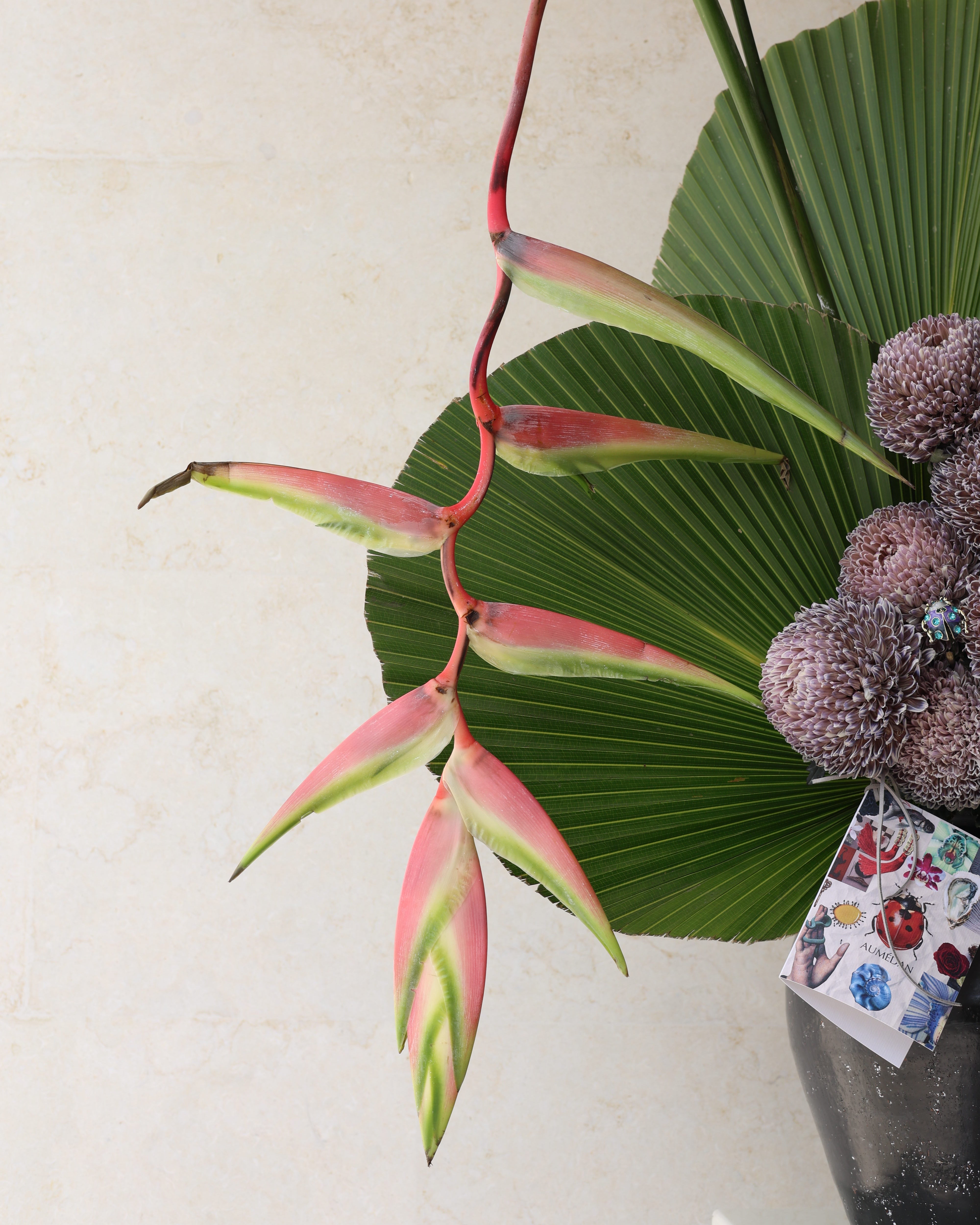COCCINELE CHÉRIE - VASE ARRANGEMENT