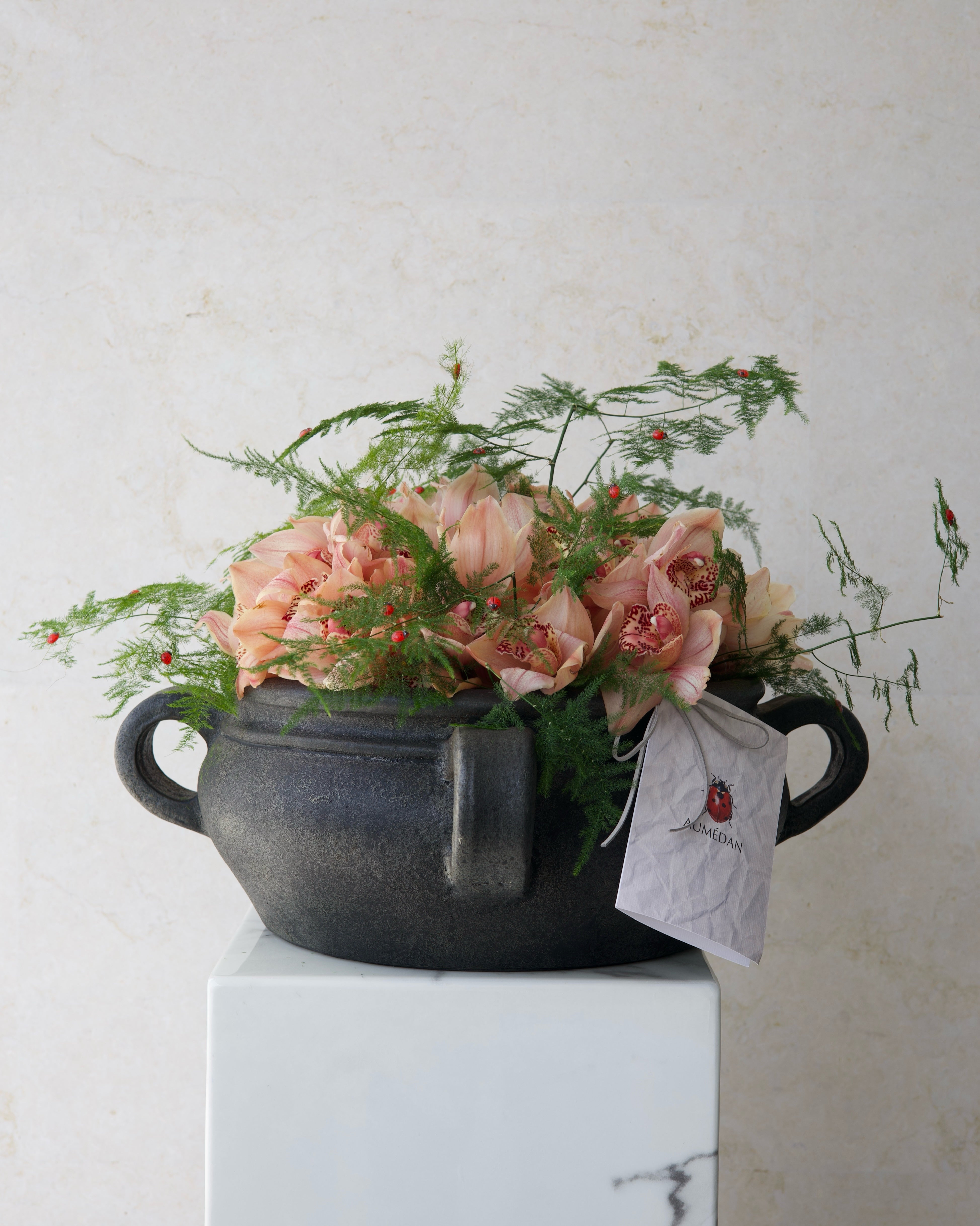 COCCINELE TRÉSOR - VASE ARRANGEMENT