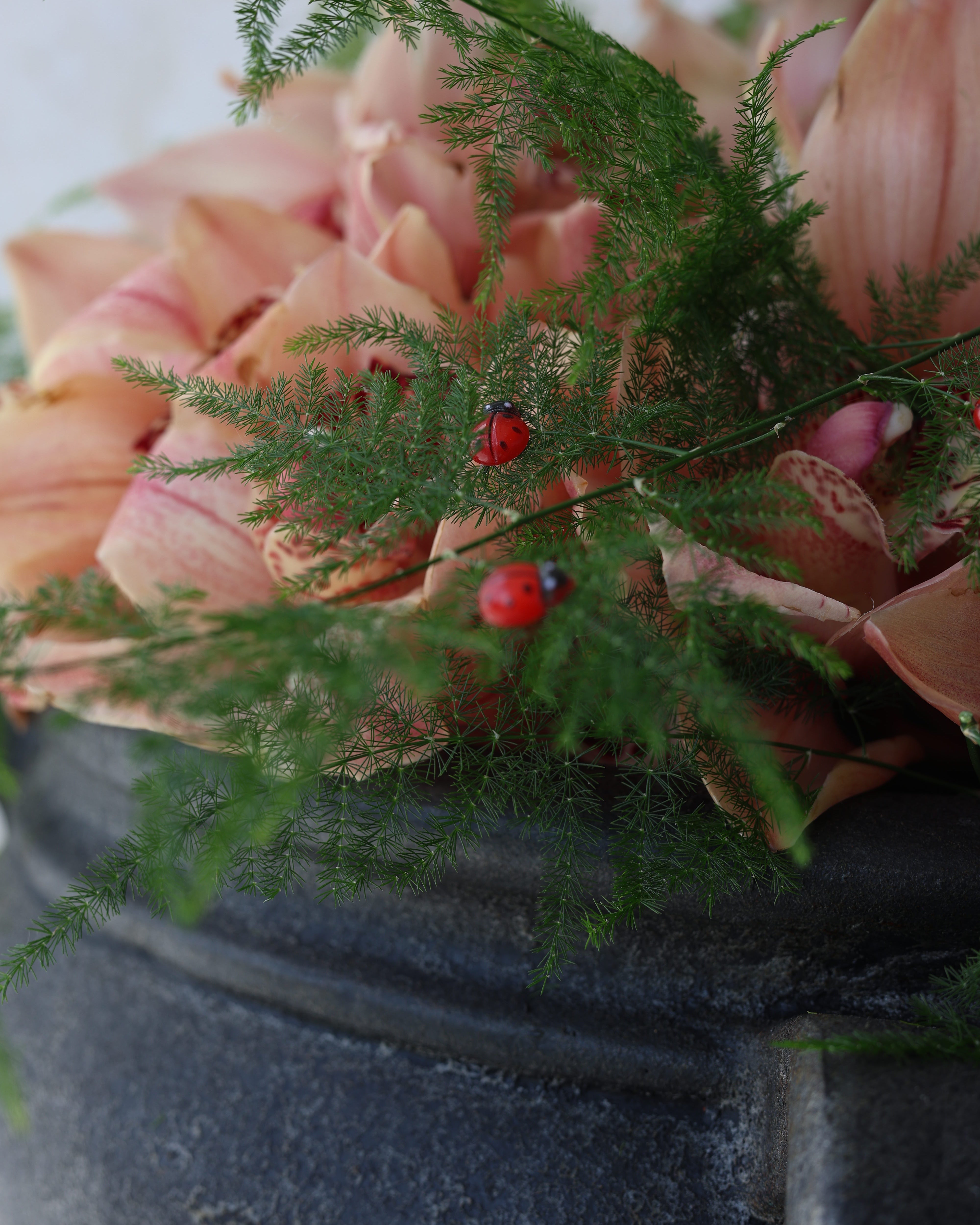 COCCINELE TRÉSOR - VASE ARRANGEMENT