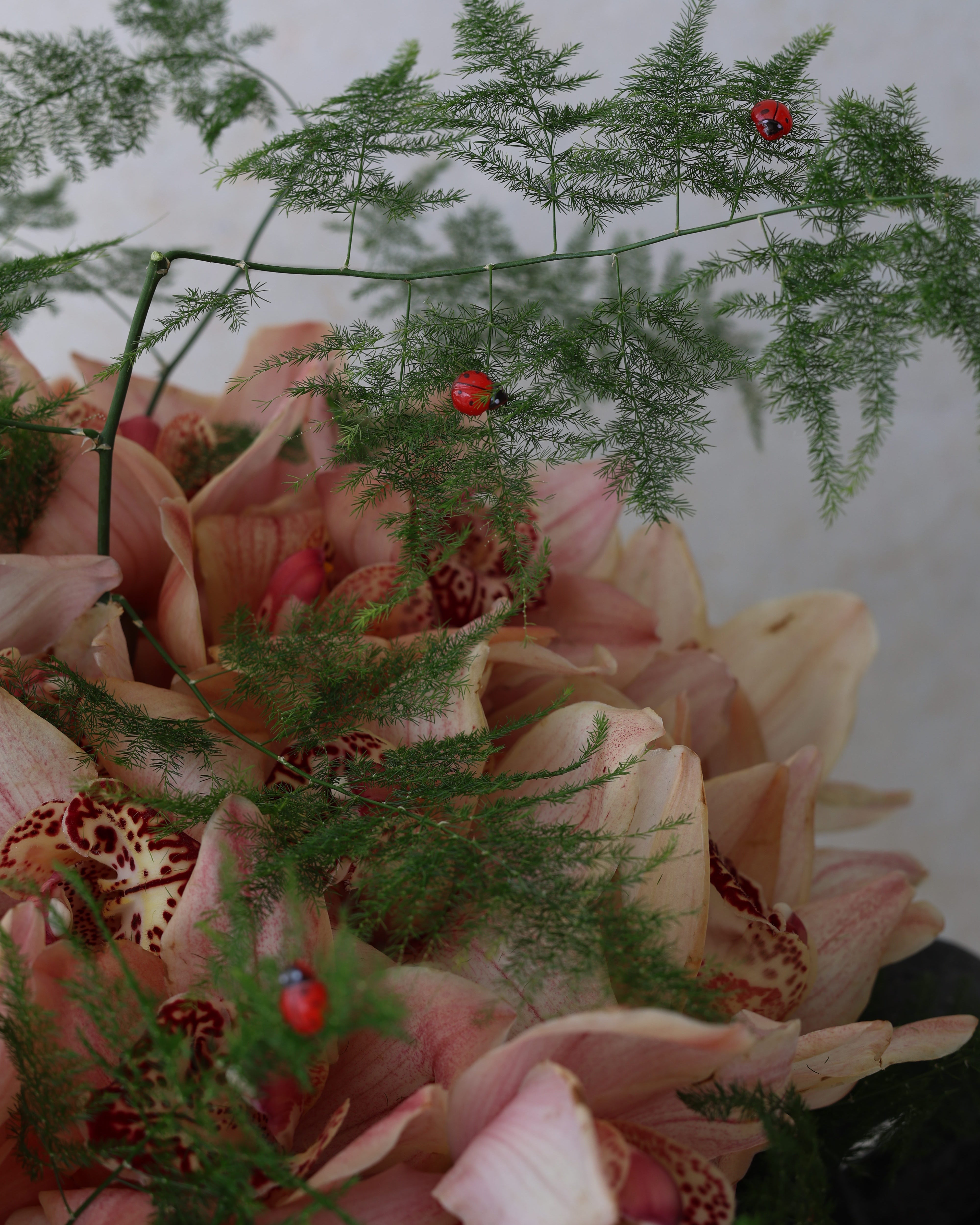 COCCINELE TRÉSOR - VASE ARRANGEMENT
