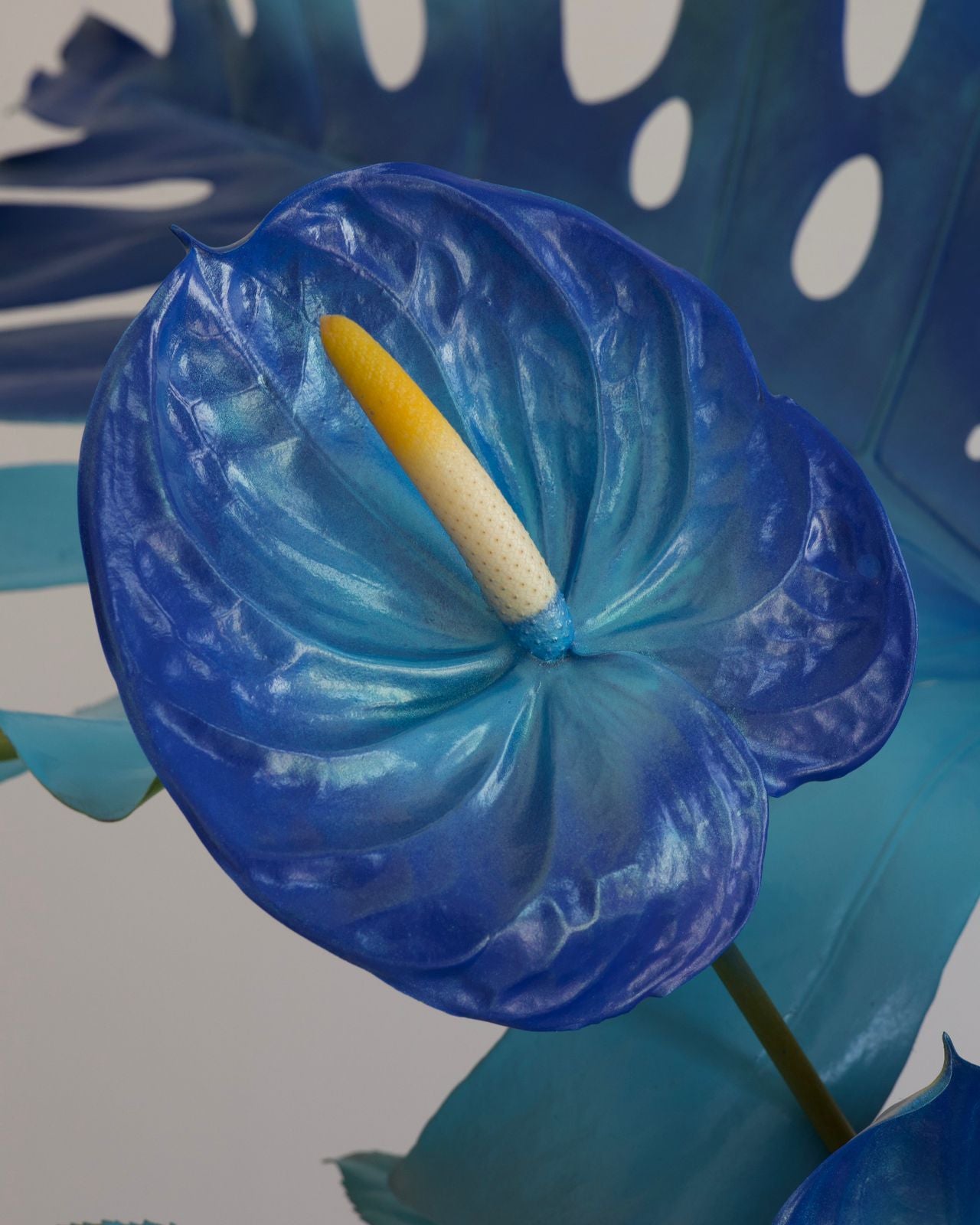 AMALFI COAST - VASE ARRANGEMENT