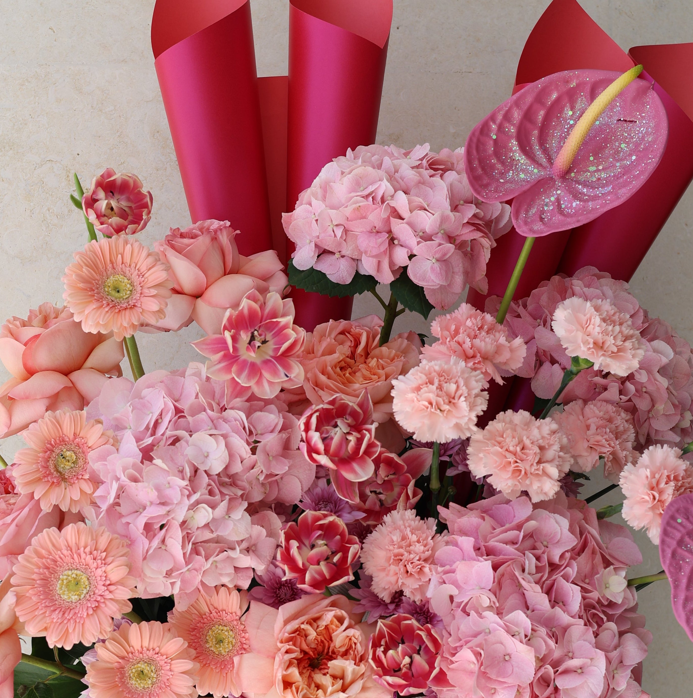 BLUSH CLOUD - AUMÉDAN ÉPURE