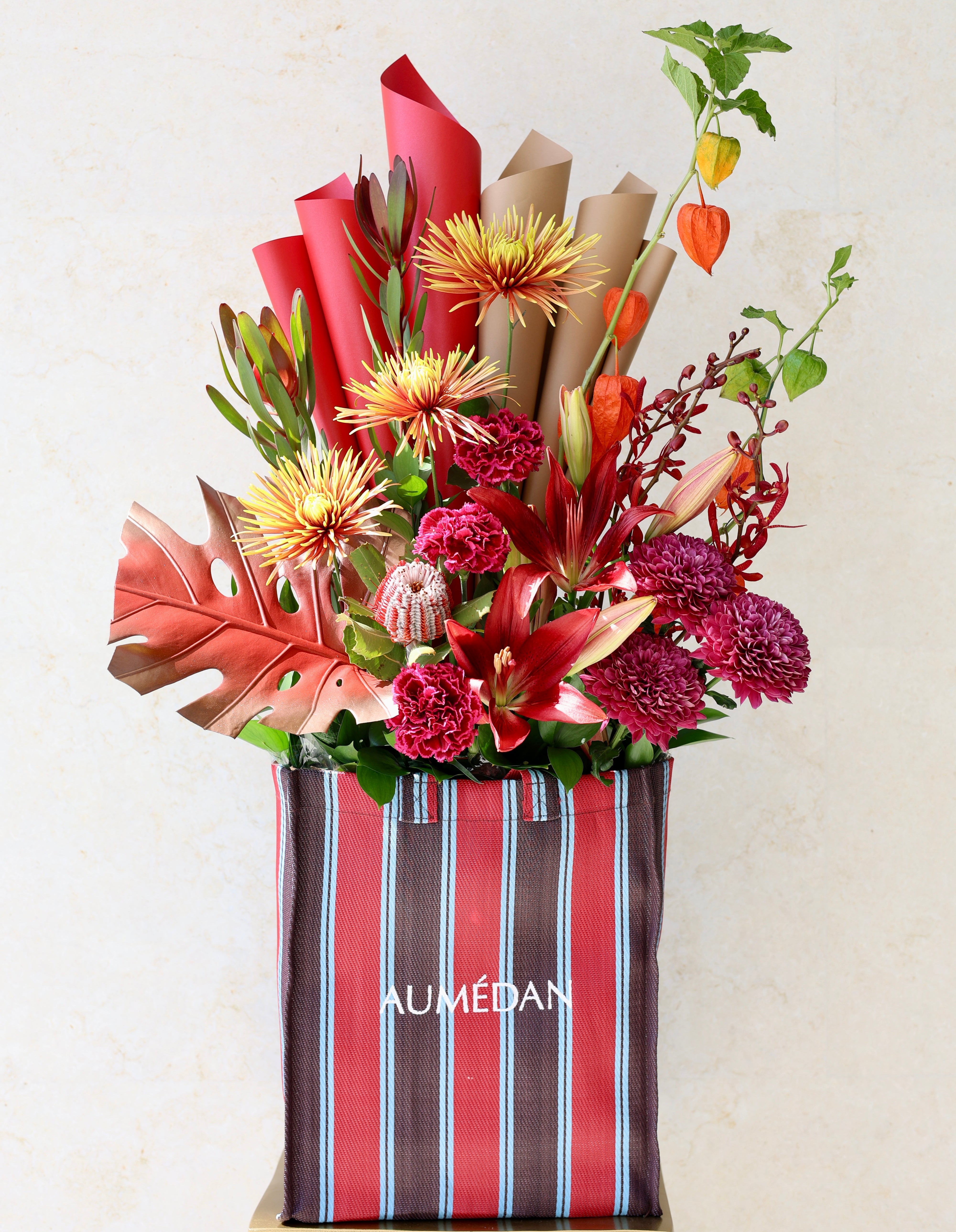 Excessive - AUMÉDAN ÉPURE