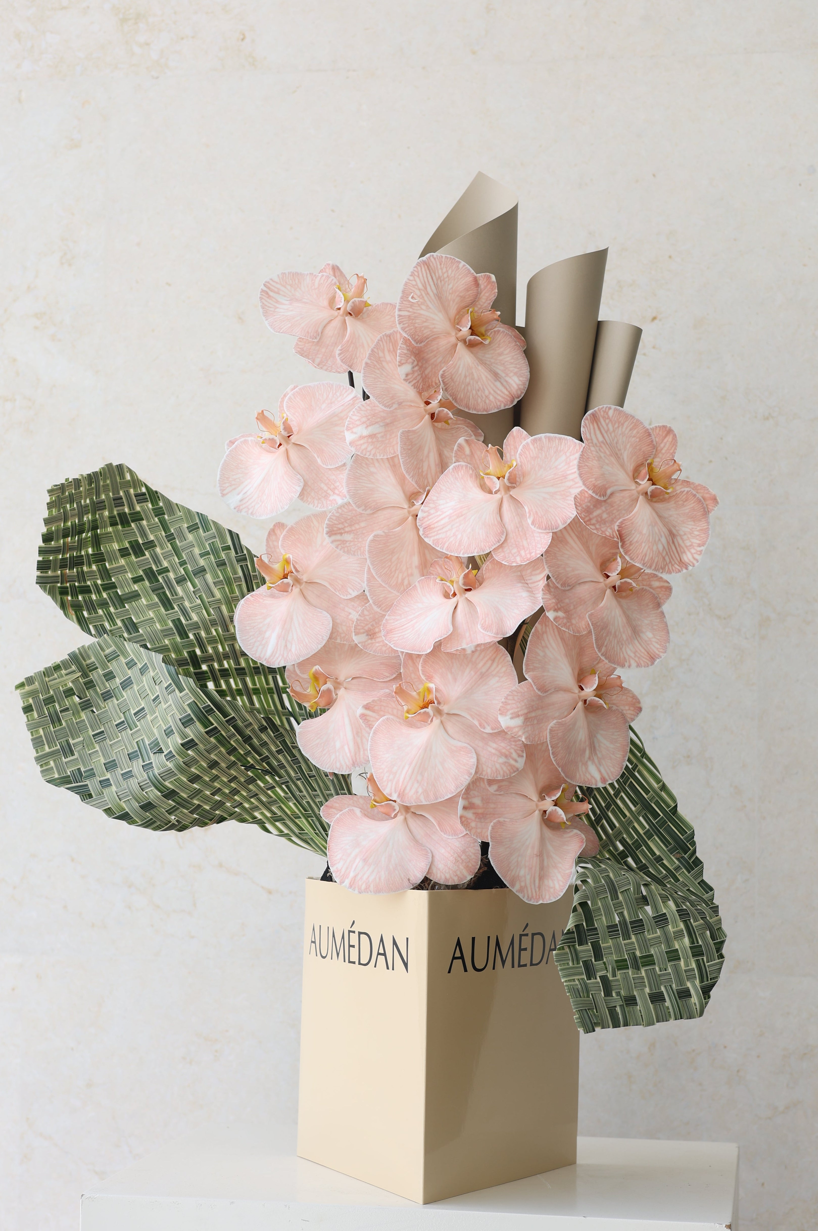 PHALAENOPSIS DREAM - TRITOTE BAG ARRANGEMENT
