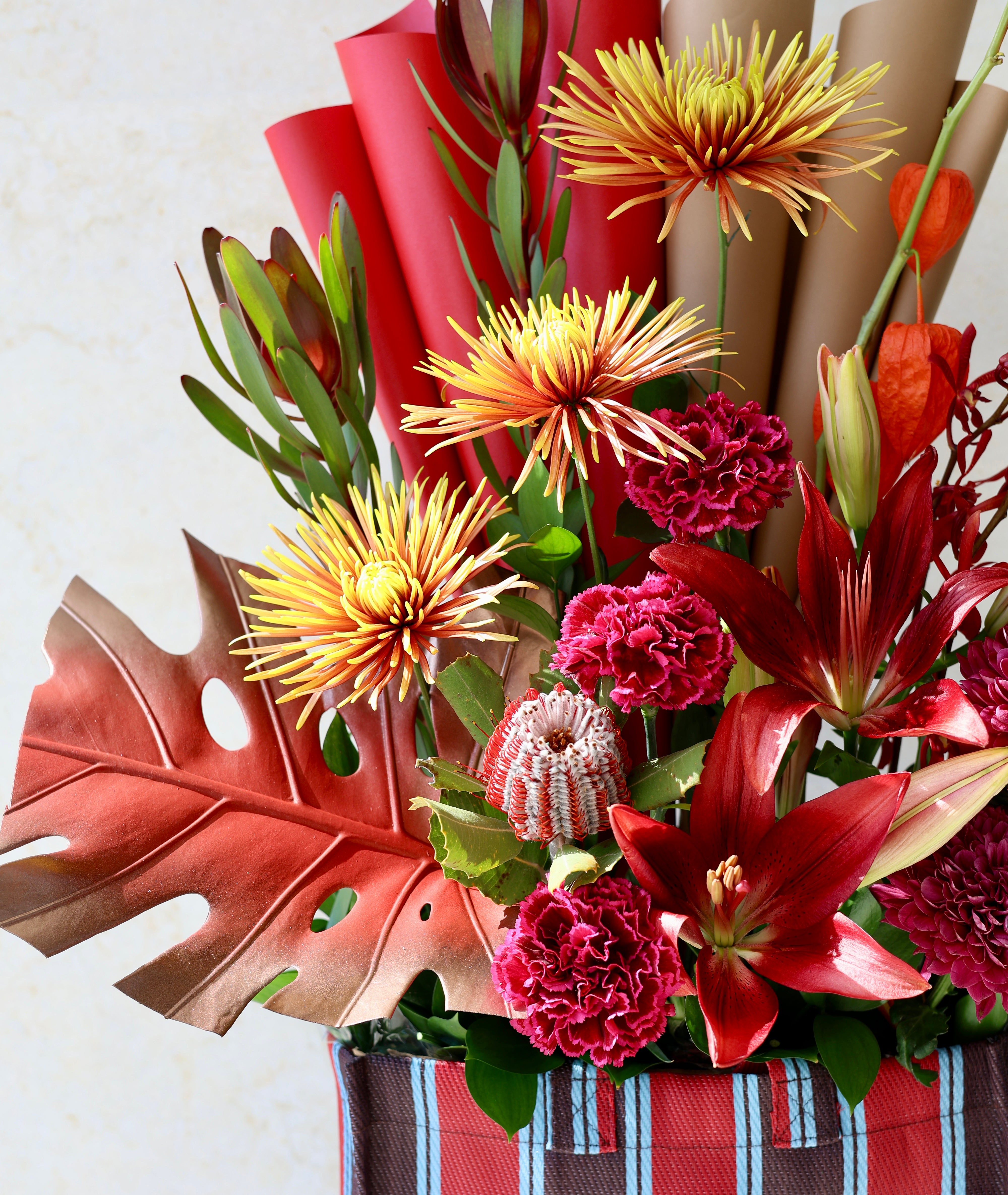 Excessive - AUMÉDAN ÉPURE