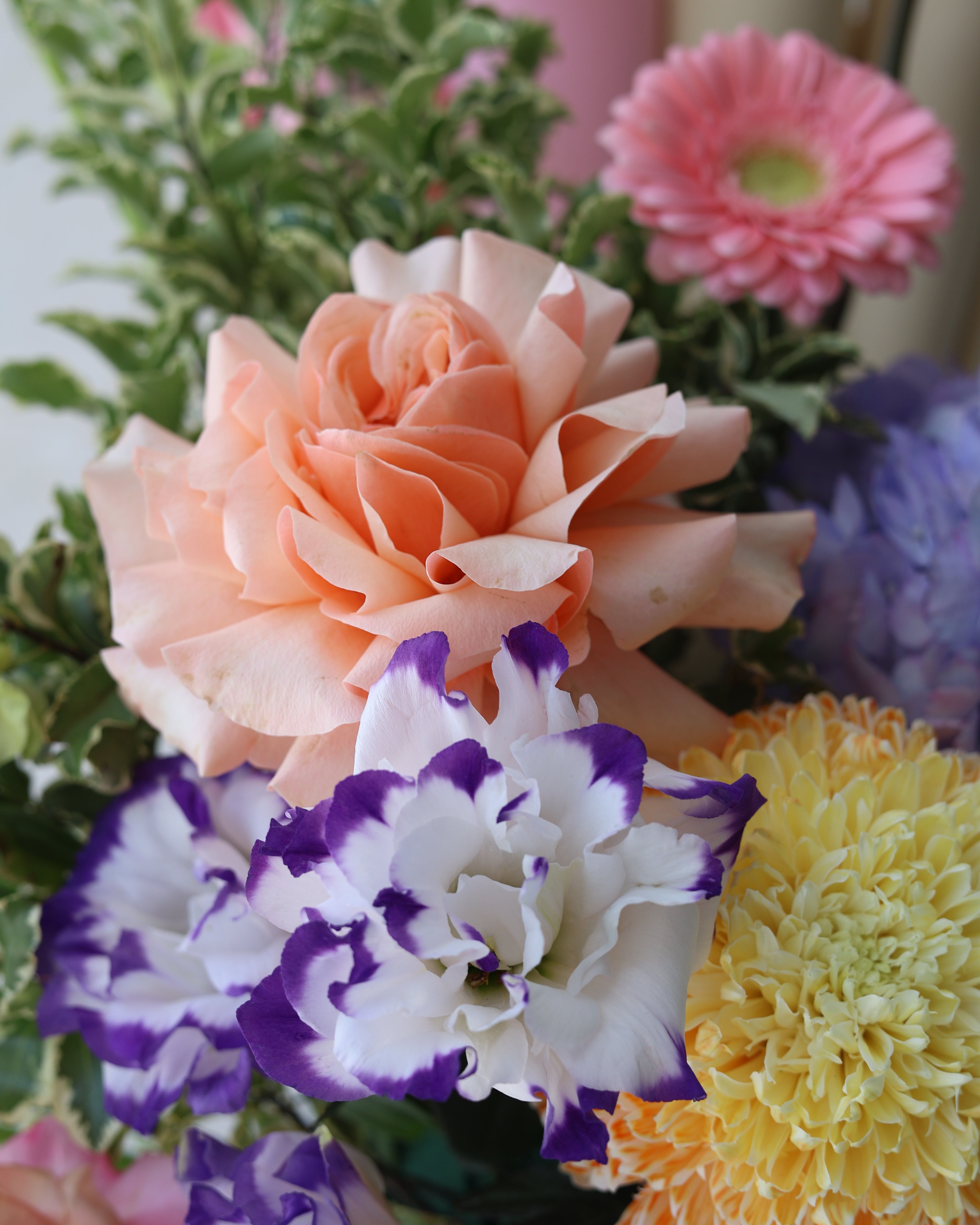 BUTTER CREAM BLOSSOMS - TRITOTE BAG ARRANGEMENT
