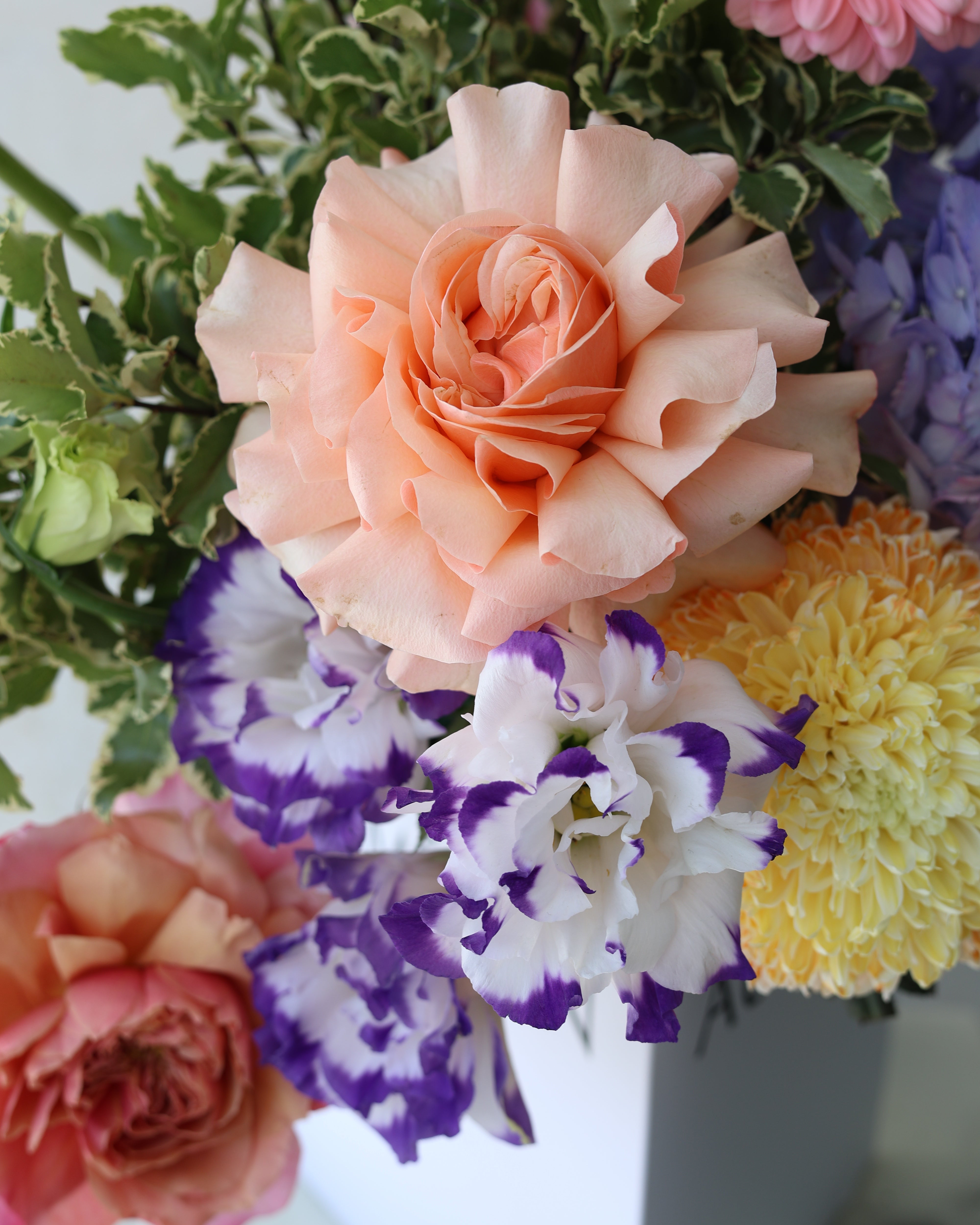 BUTTER CREAM BLOSSOMS - TRITOTE BAG ARRANGEMENT