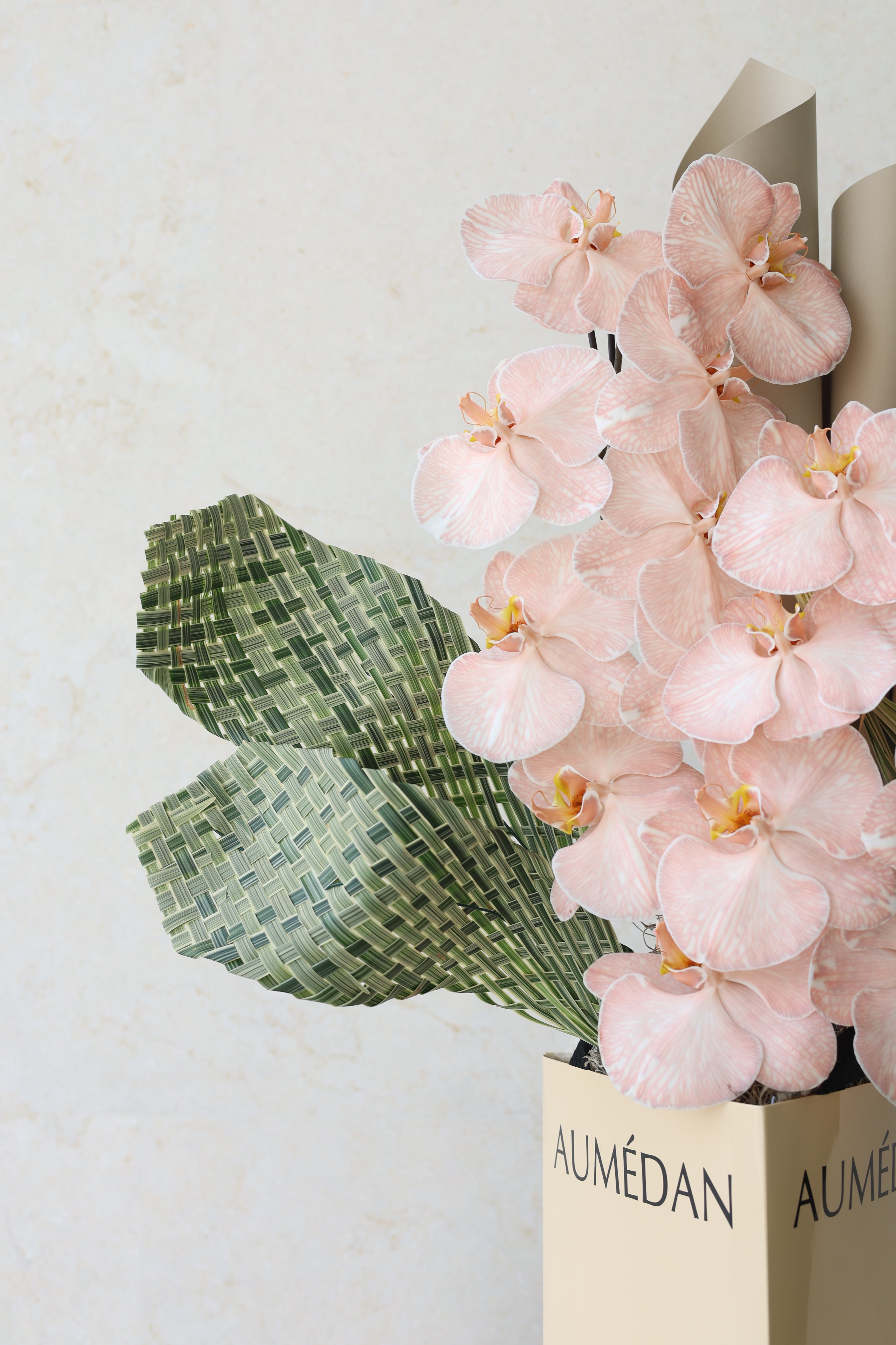 PHALAENOPSIS DREAM - TRITOTE BAG ARRANGEMENT