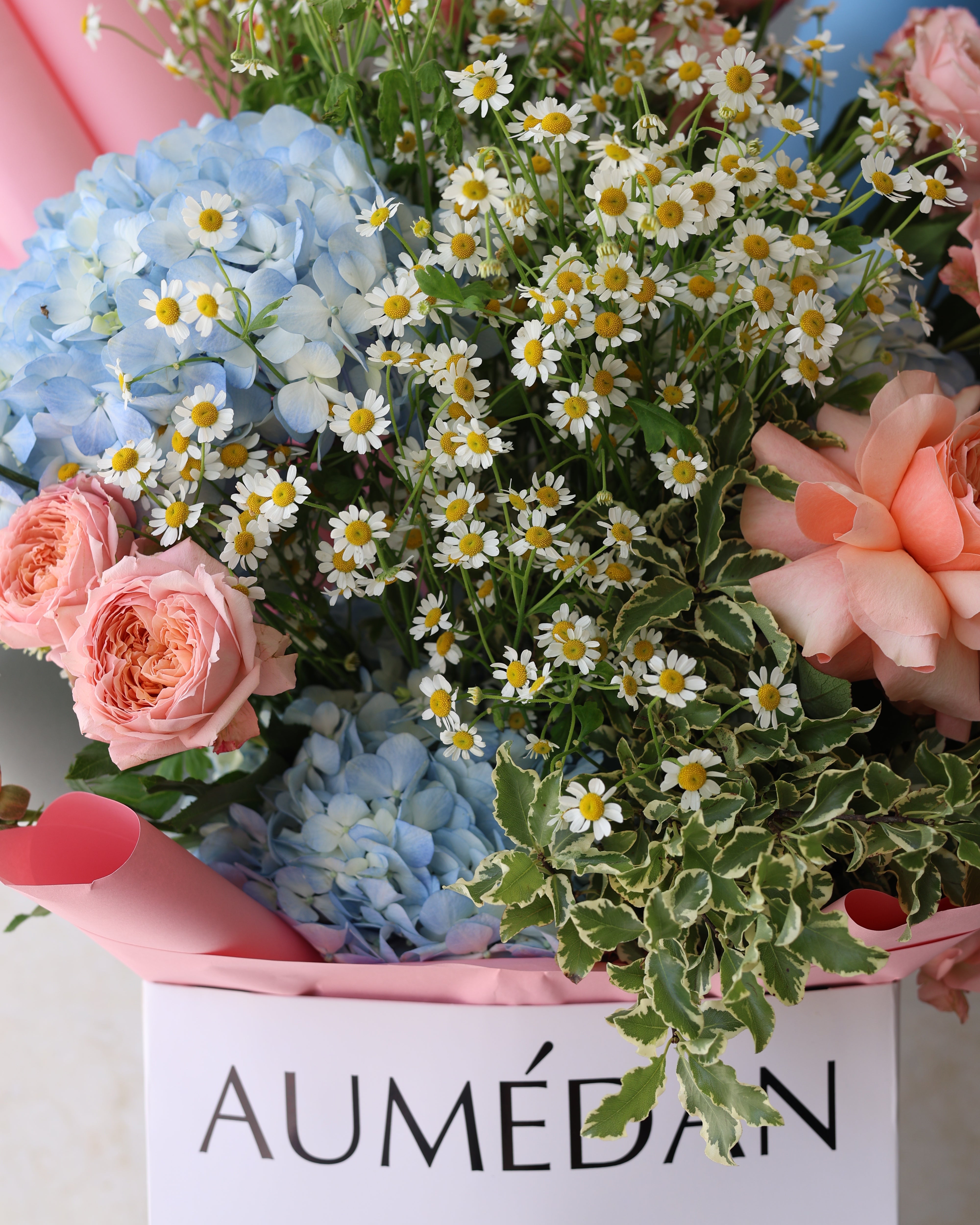 POWDER FLOSS - MEIDIUM BOUQUET